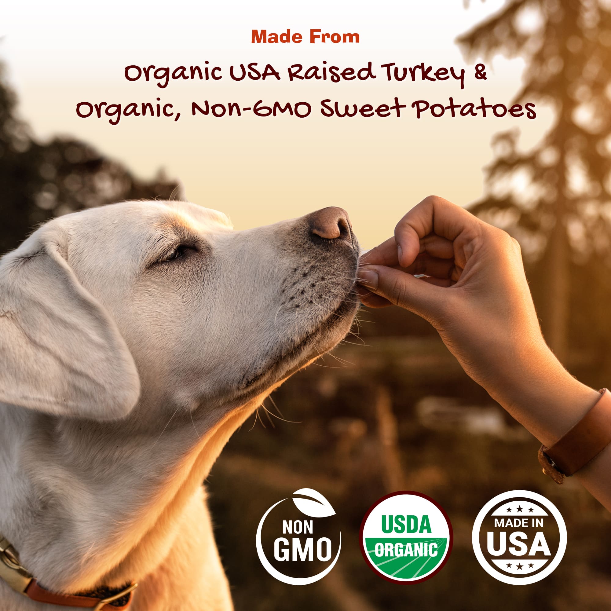 Organic turkey jerky for dogs hotsell