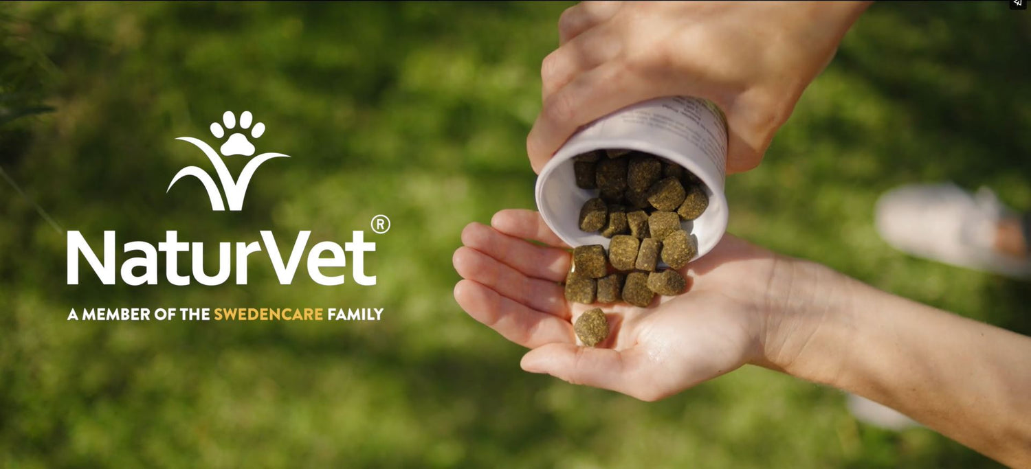 Our Story - NaturVet®