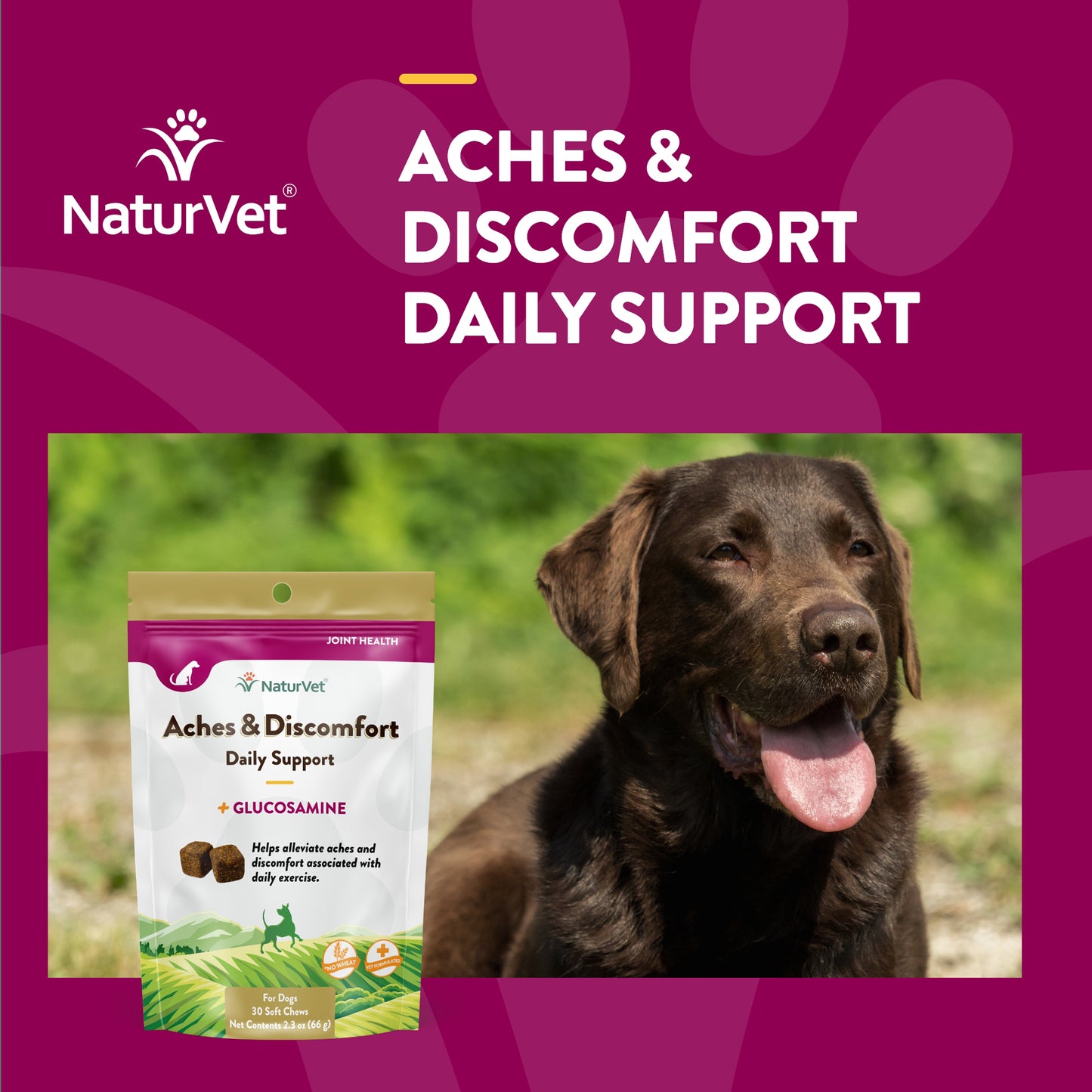 Aches & Discomfort Soft Chews