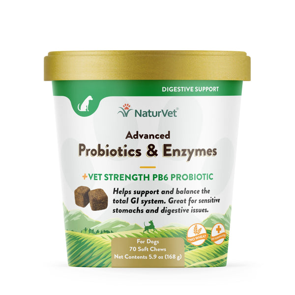 Advanced Probiotics & Enzymes Soft Chews