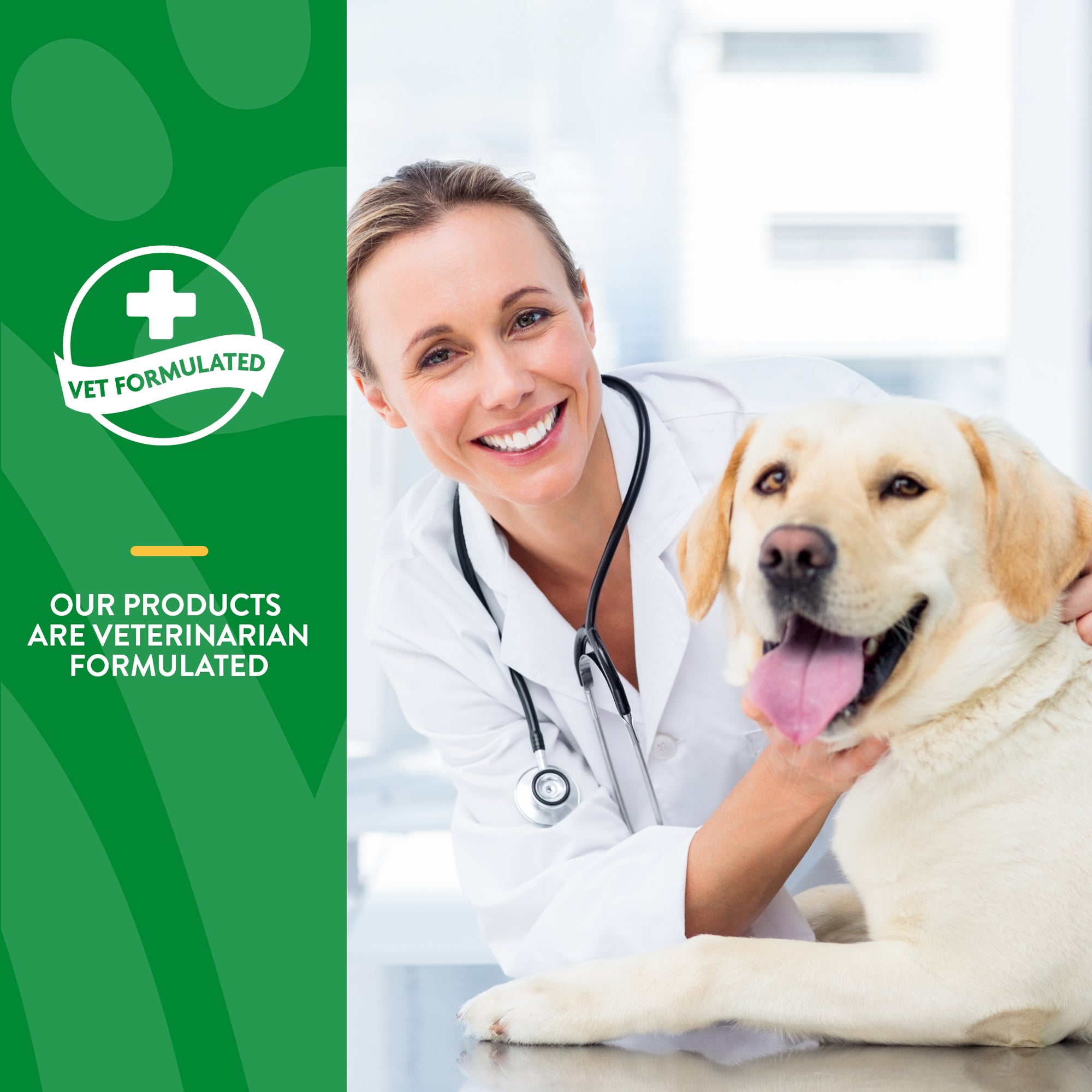 NaturVet Advanced Probiotic Enzymes Powder 4 oz