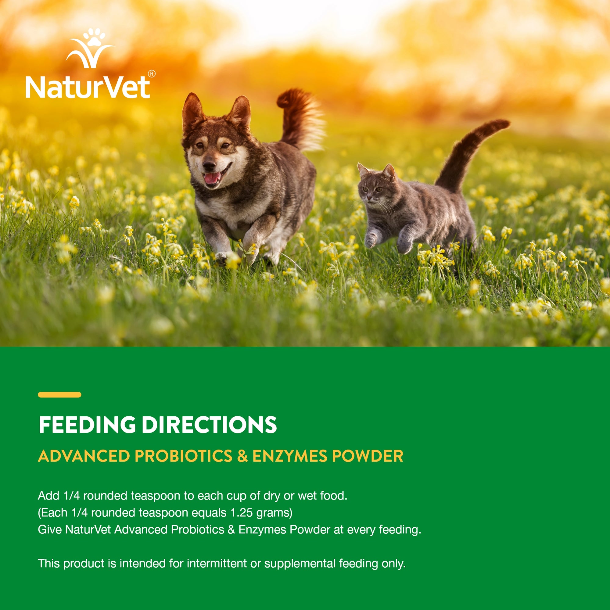 NaturVet Advanced Probiotic Enzymes Powder 4 oz