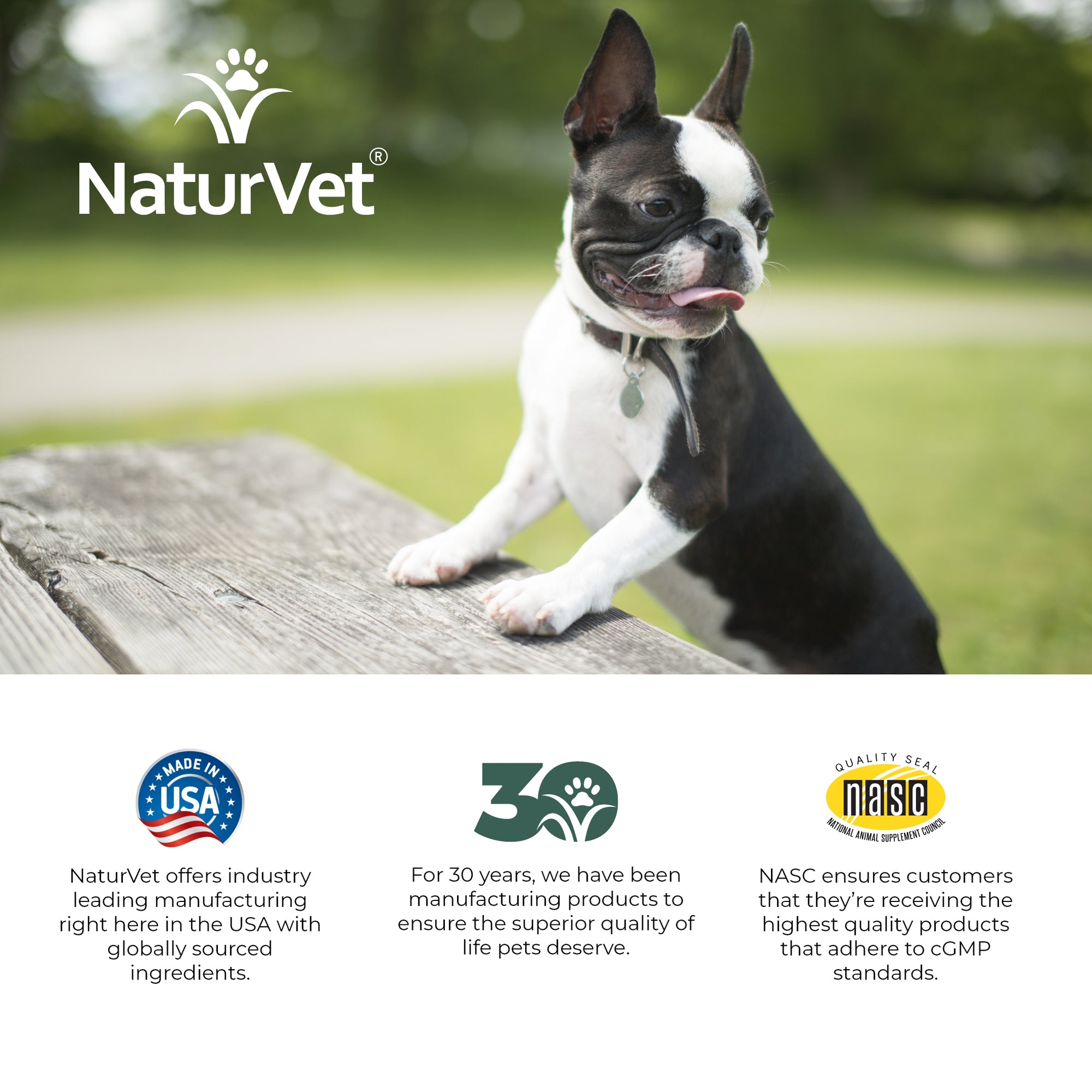 NaturVet Advanced Probiotic Enzymes Powder 4 oz