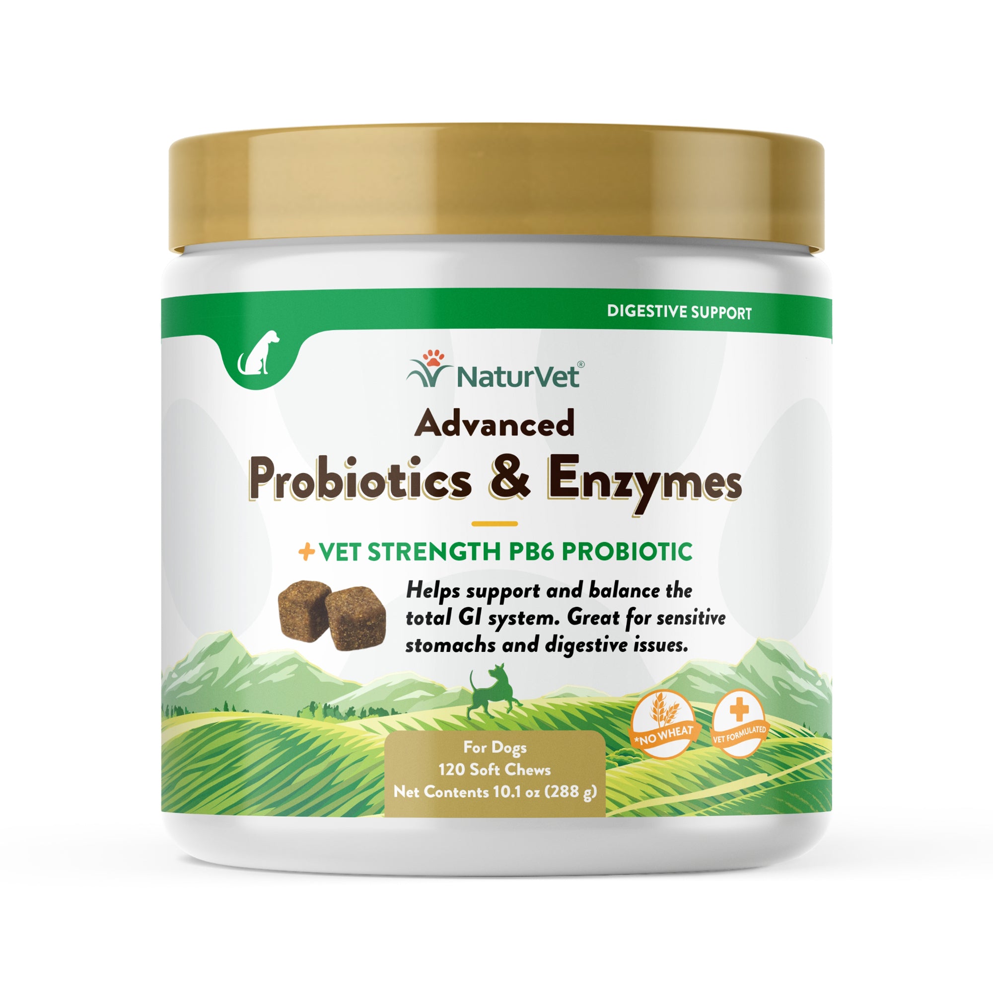 Best natural probiotic for dogs best sale