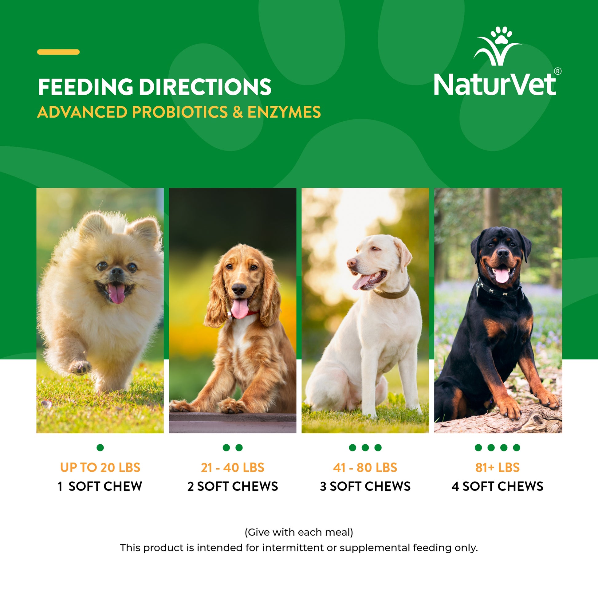 Advanced Dog Probiotics and Enzymes - NaturVet®