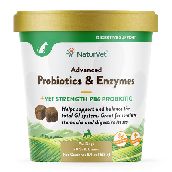 Advanced Probiotics & Enzymes Soft Chews