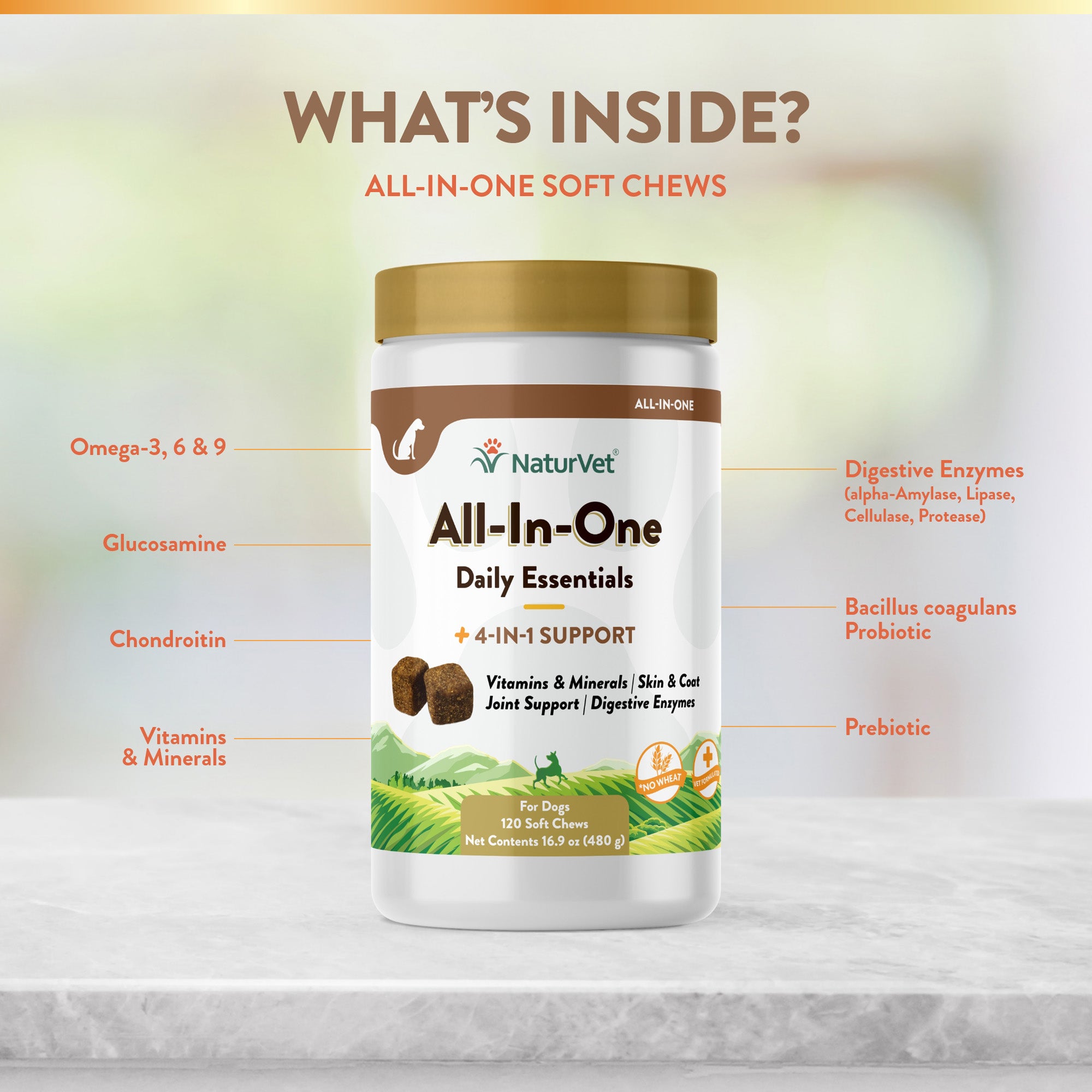 All In One Vitamin Dog Chews NaturVet