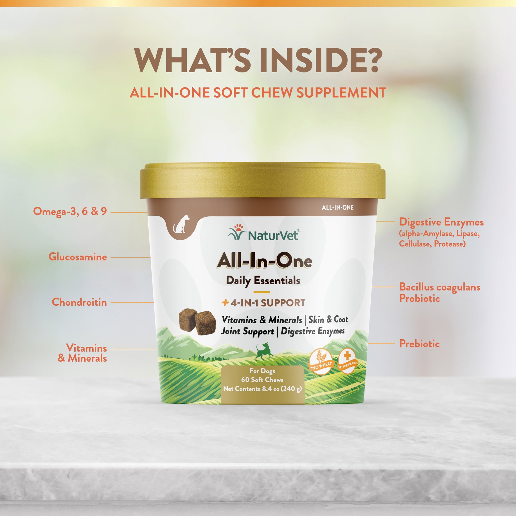 All In One Vitamin Dog Chews NaturVet