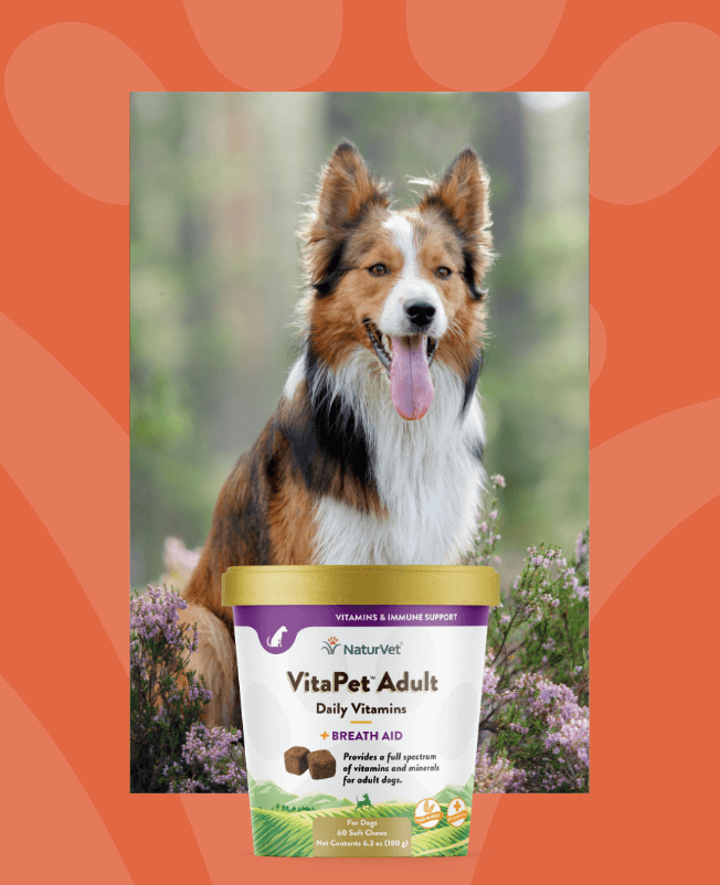 NaturVet Quality Pet Supplements for Over 25 Years