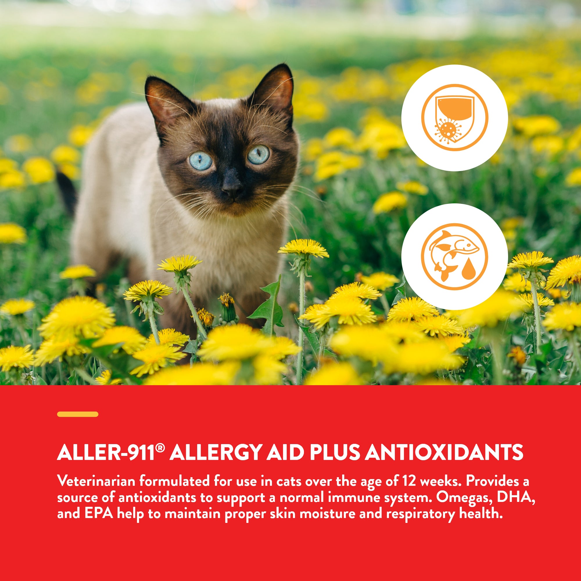 Aller 911 Cat Allergy Aid NaturVet