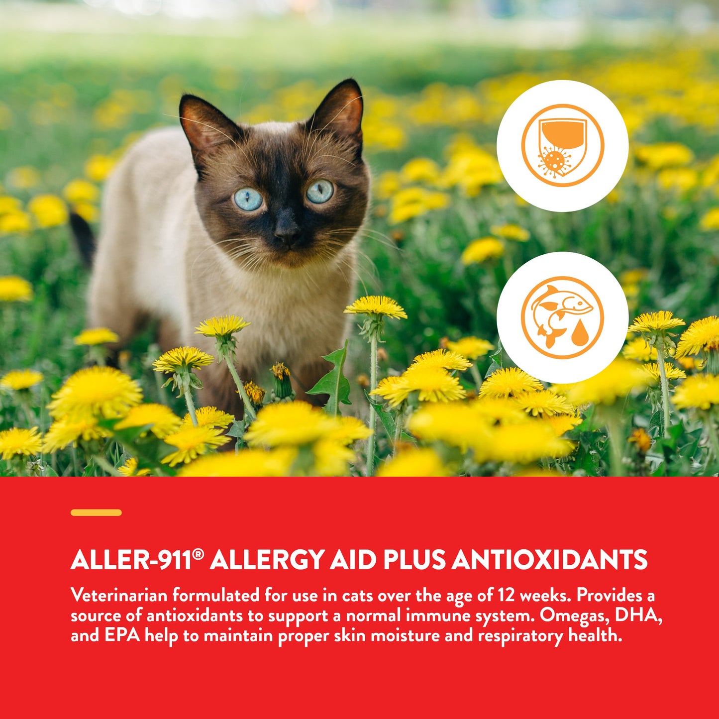 Aller-911® Allergy Aid Cat Soft Chews