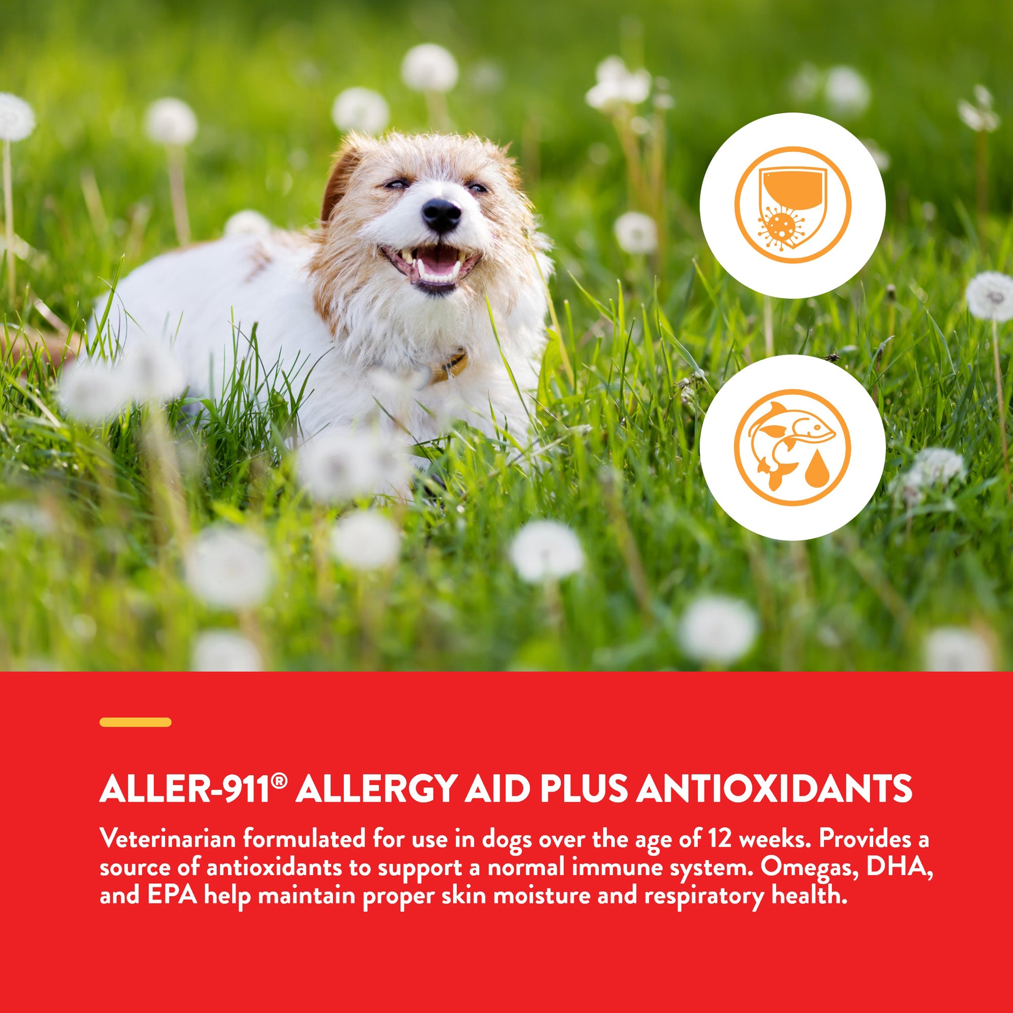 Aller-911® Allergy Aid Soft Chews