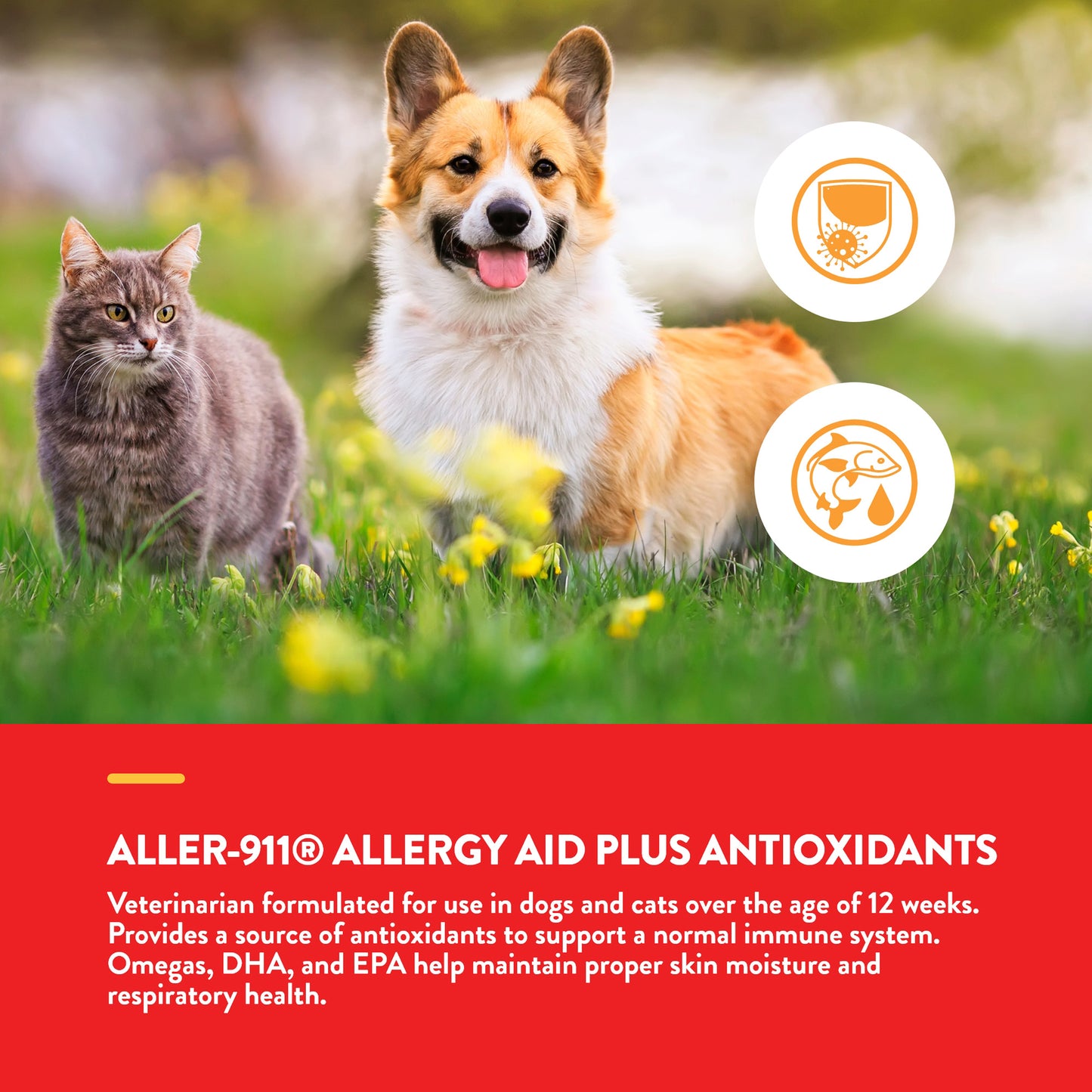 Aller-911® Allergy Aid Tabs