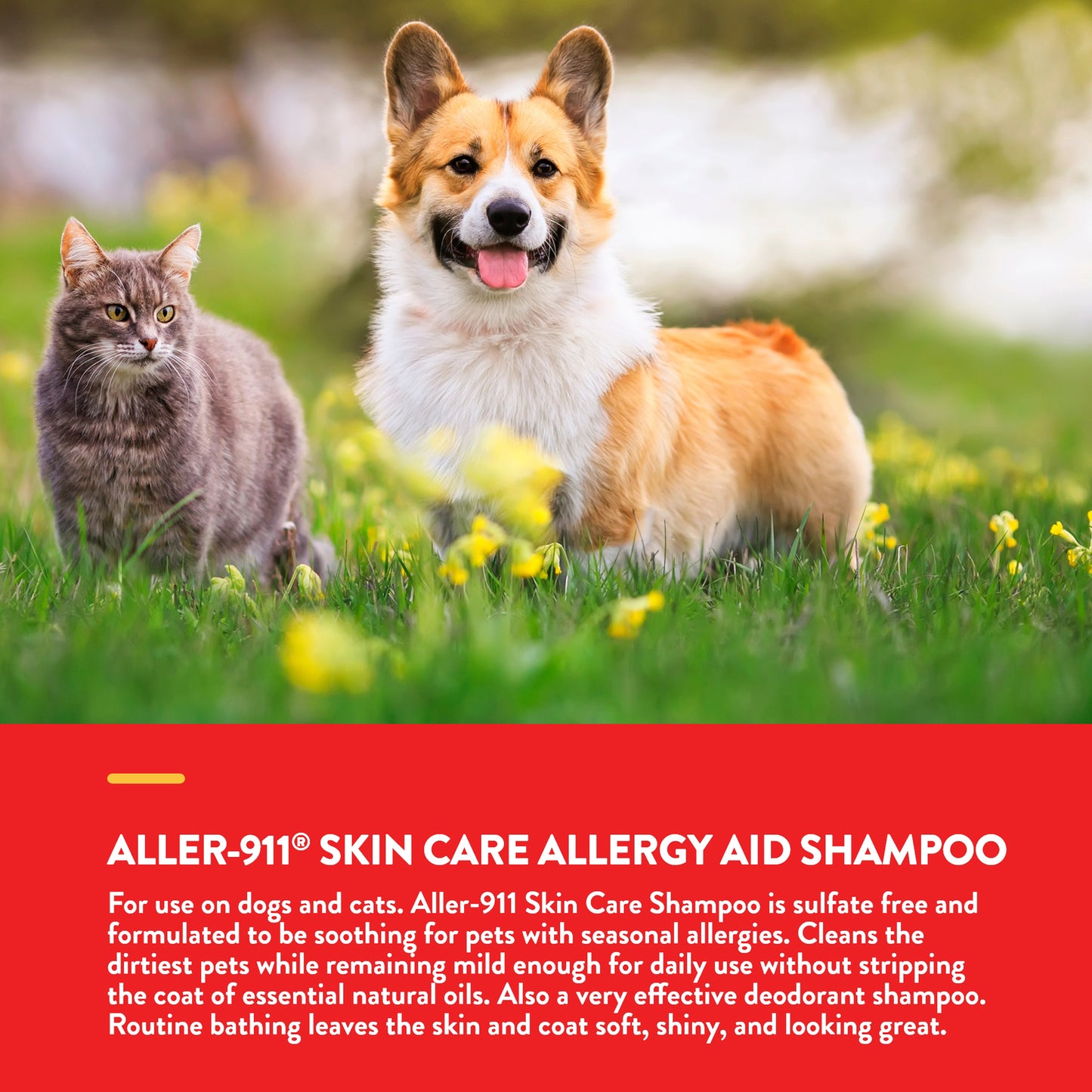 Aller-911® Skin Care Shampoo