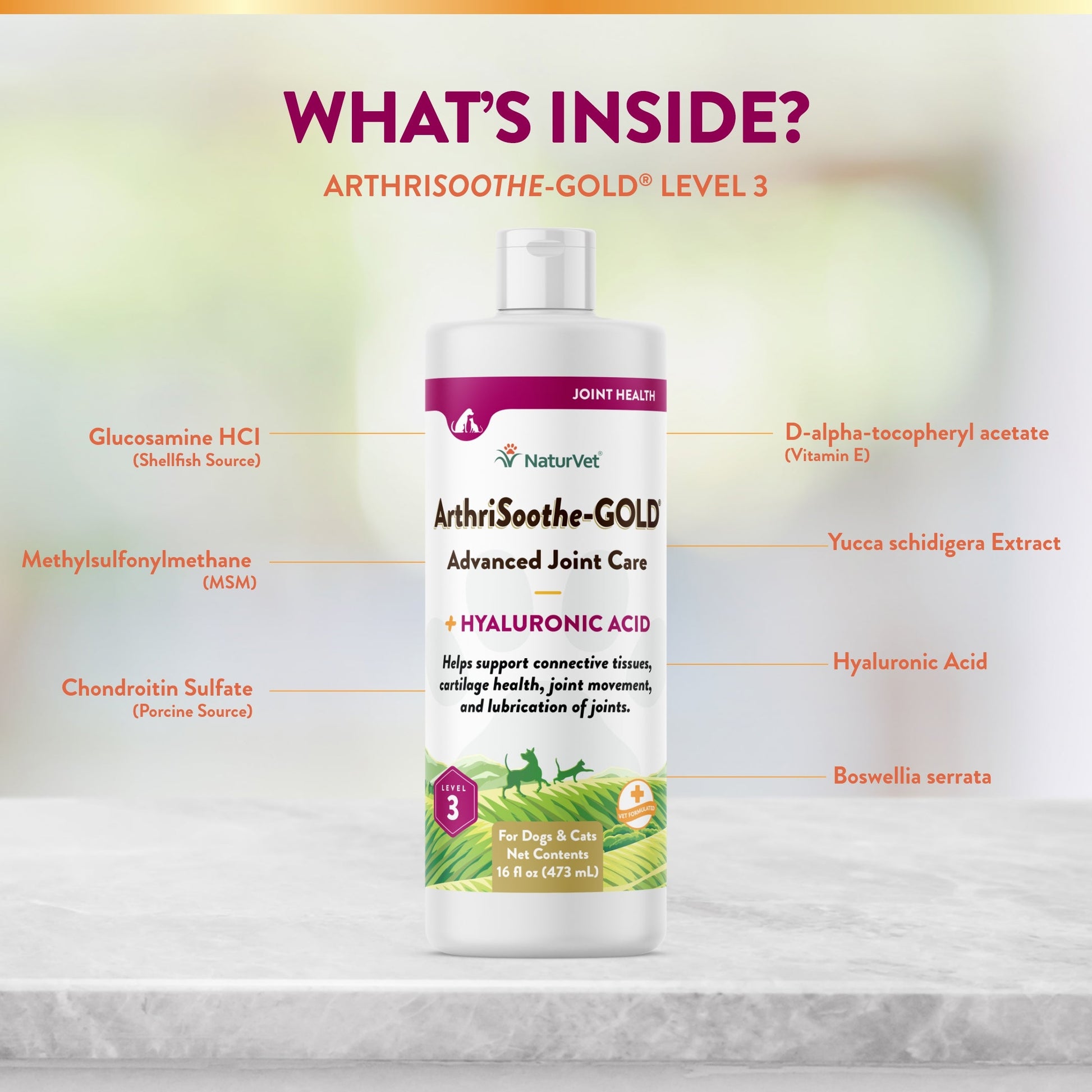 ArthriSoothe GOLD Liquid for Dogs - 32 oz. ArthriSoothe GOLD Liquid for Dogs - 32 oz.
