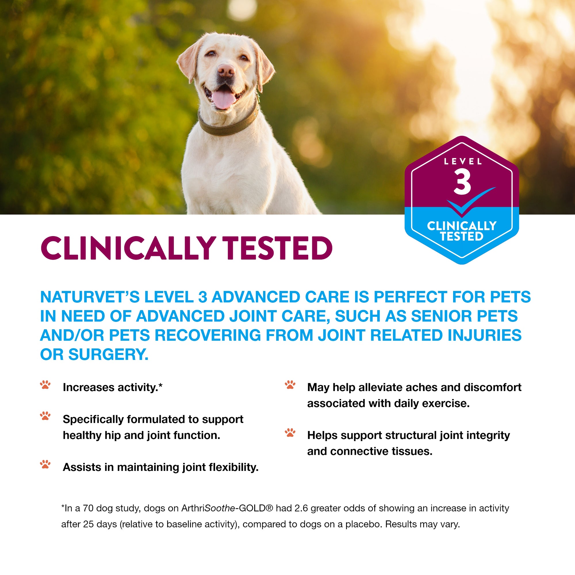 Pet lab joint health sales care chews for dogs