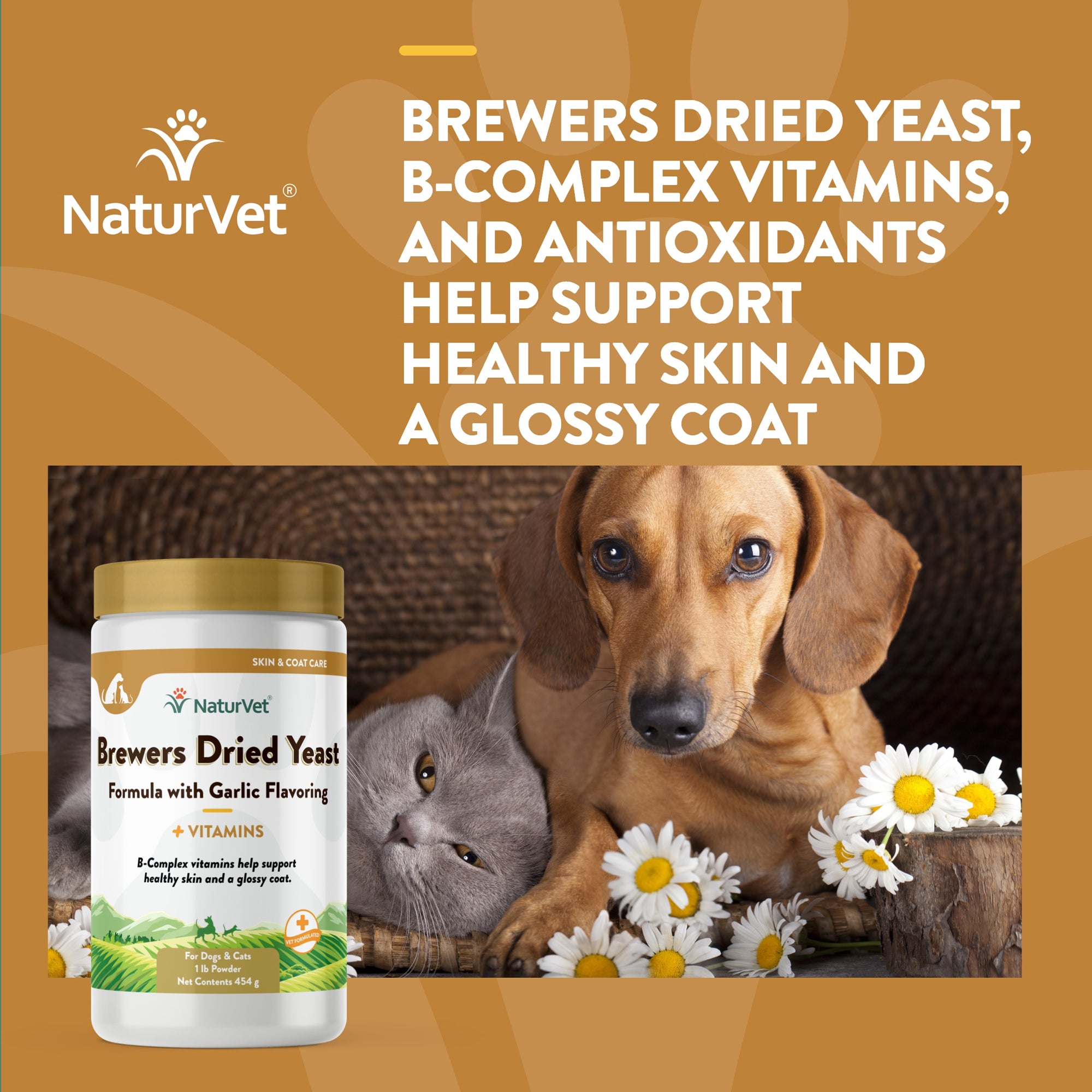 Brewers yeast on sale powder for dogs