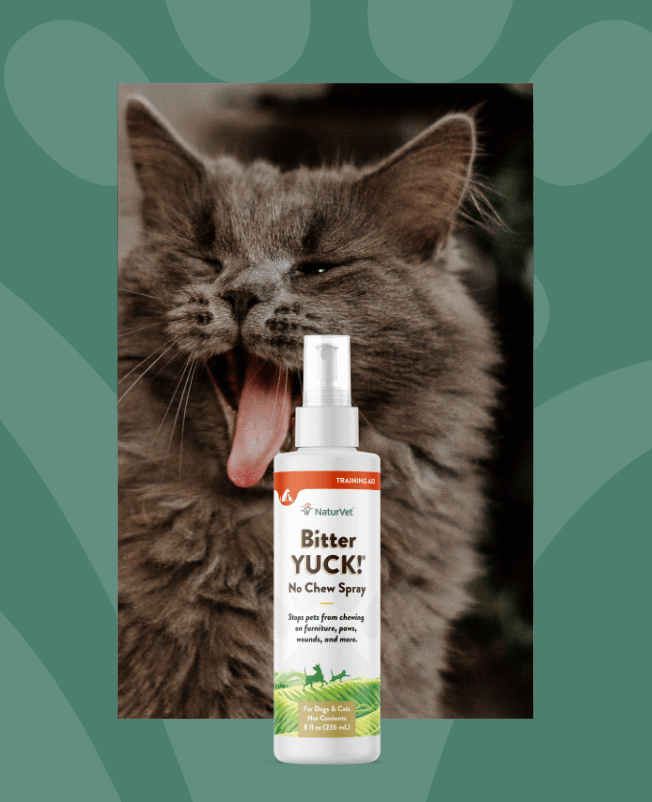 Bitter anti chew sales spray for cats