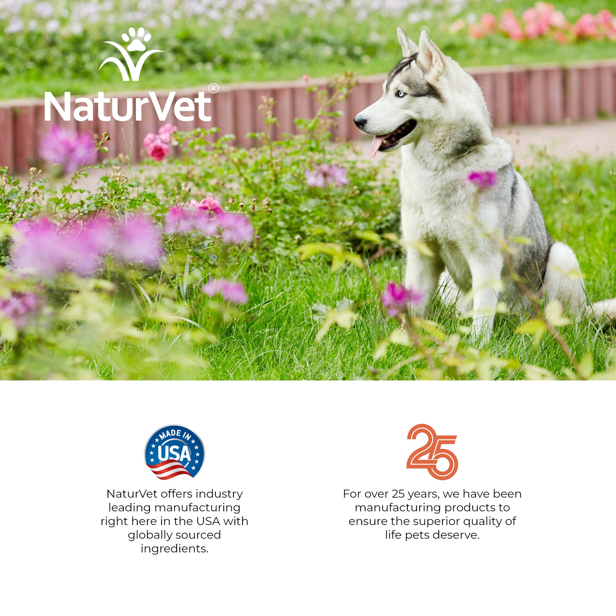 Naturvet bitter yuck no chew clearance spray