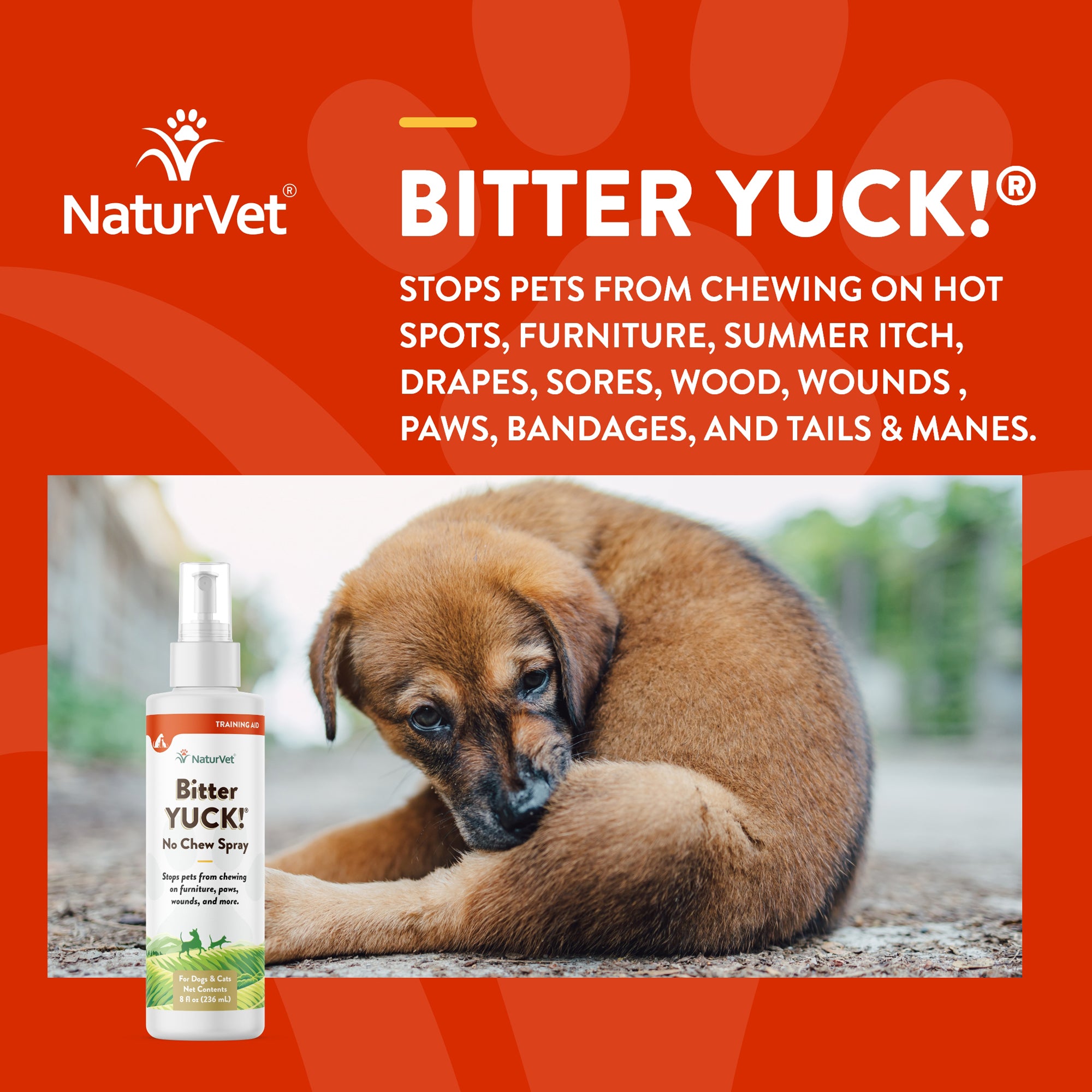 Bad tasting spray for dogs best sale