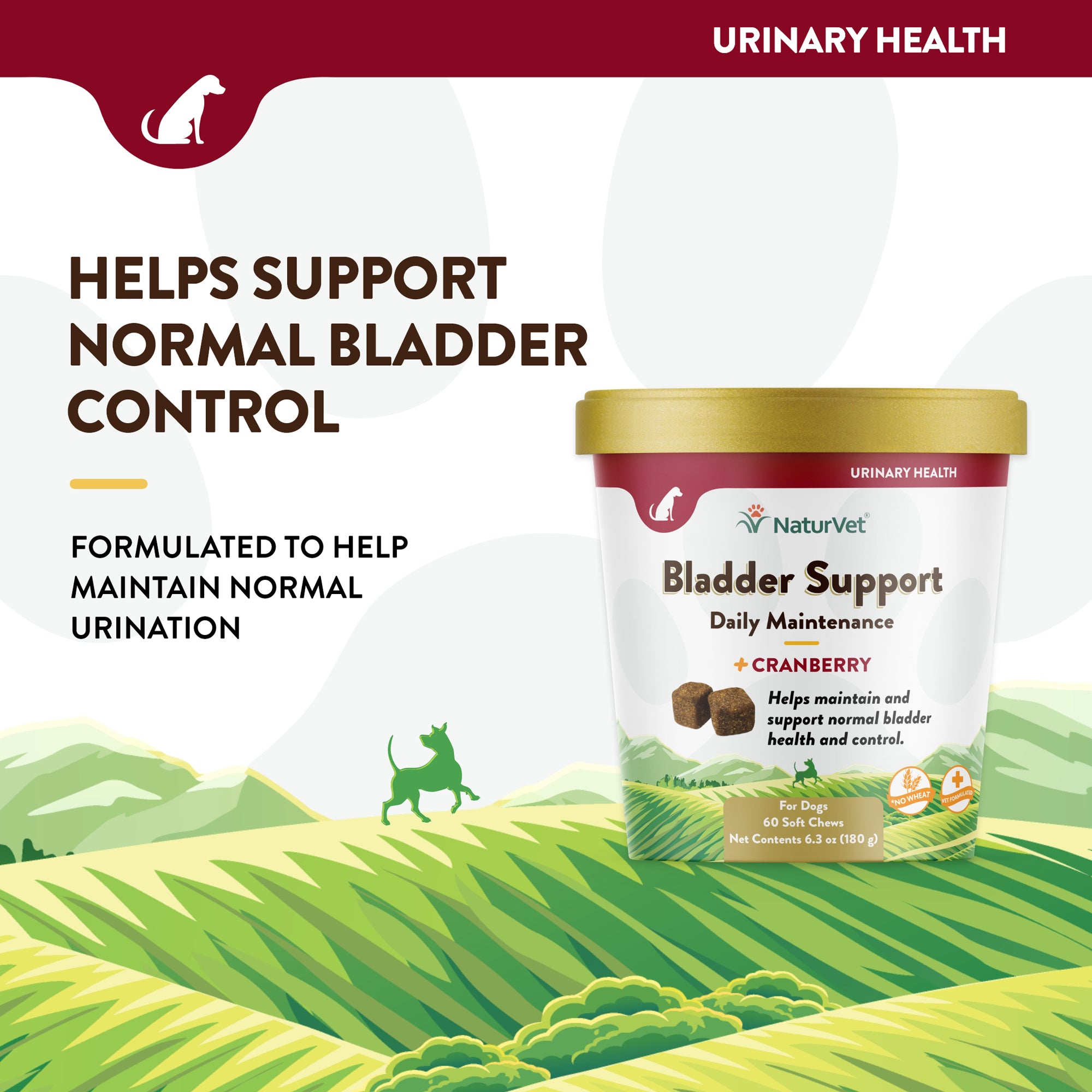 Bladder support for sales dogs