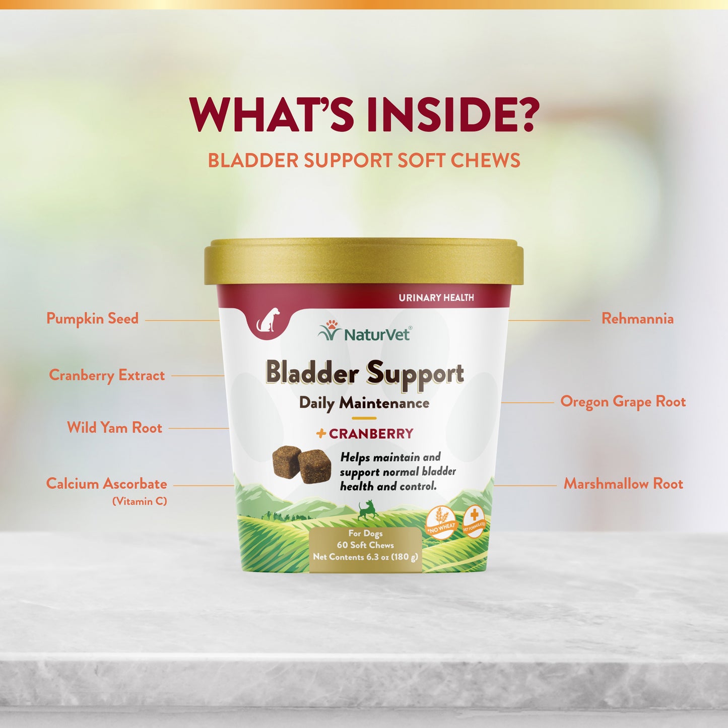 Bladder Support Soft Chews