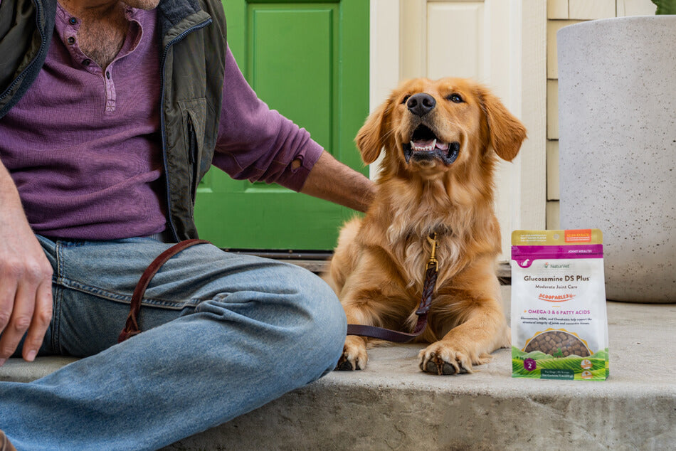 NaturVet® - Quality Pet Supplements for Over 25 Years