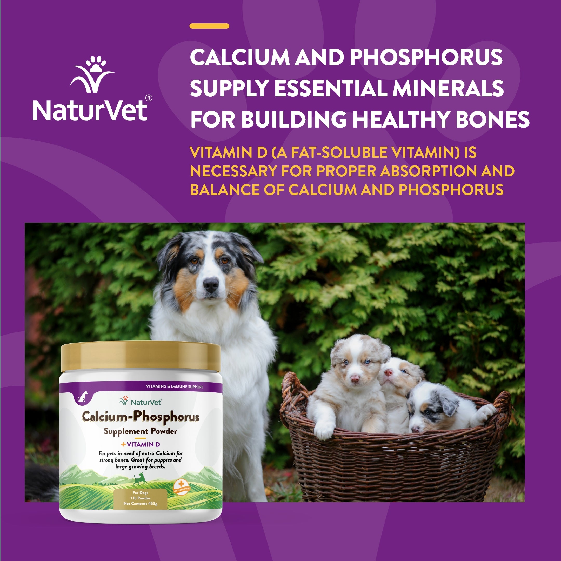 Calcium powder shop for puppies