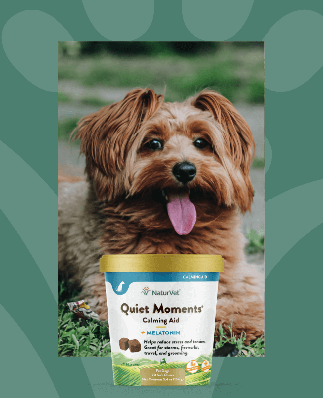 Naturvet 2024 calcium phosphorus