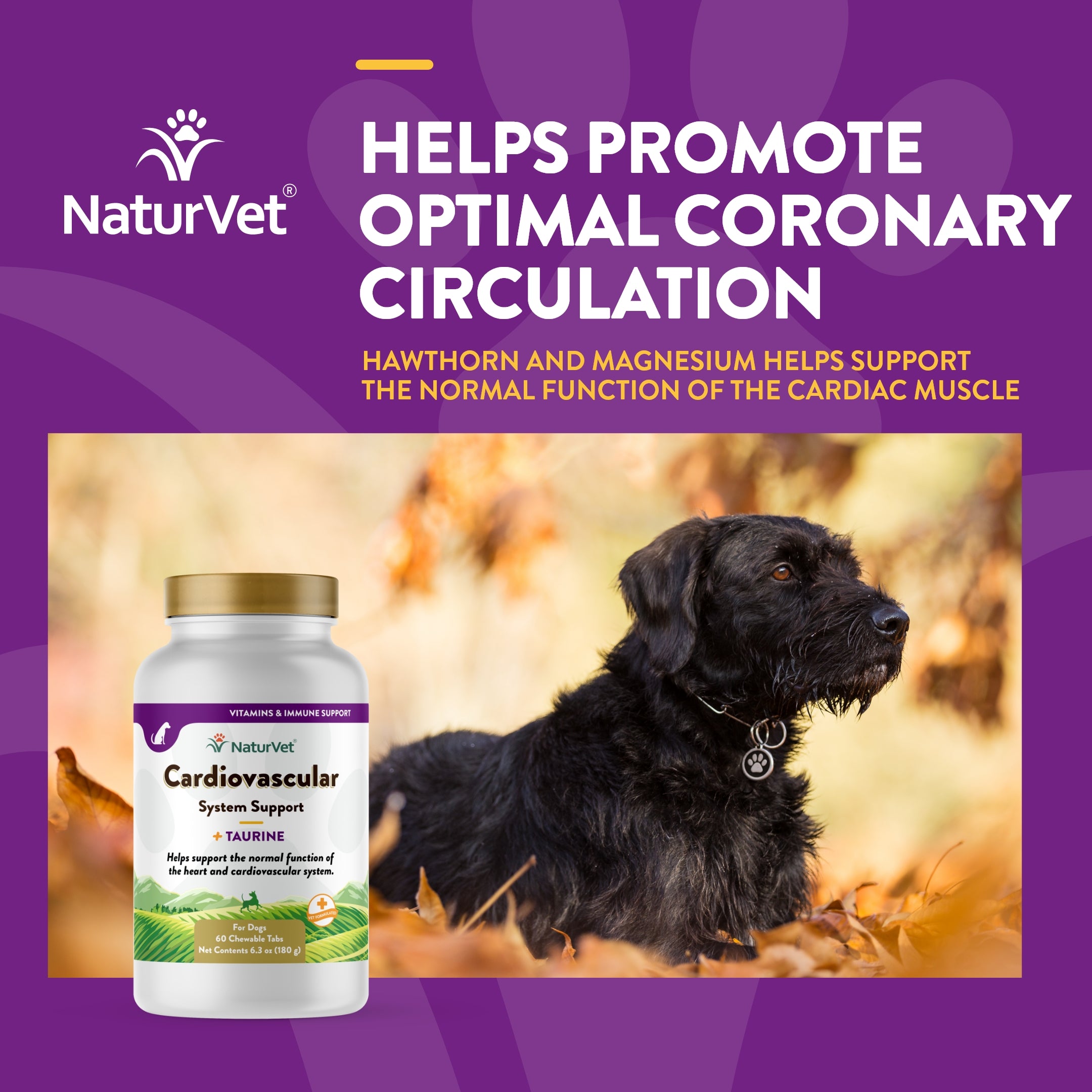 Dog vitamins cheap with taurine