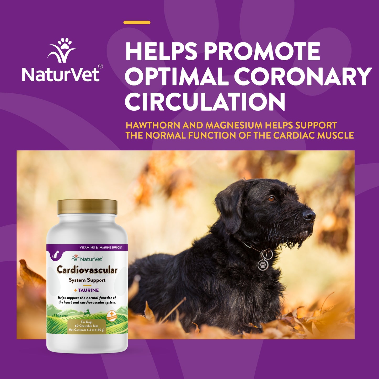 Cardiovascular Support for Dogs