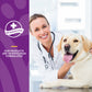 Cardiovascular Support for Dogs