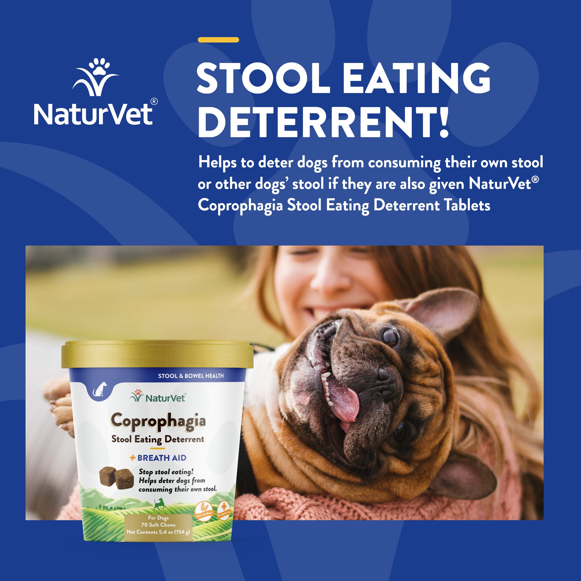 How to deter dogs from eating cat poop best sale