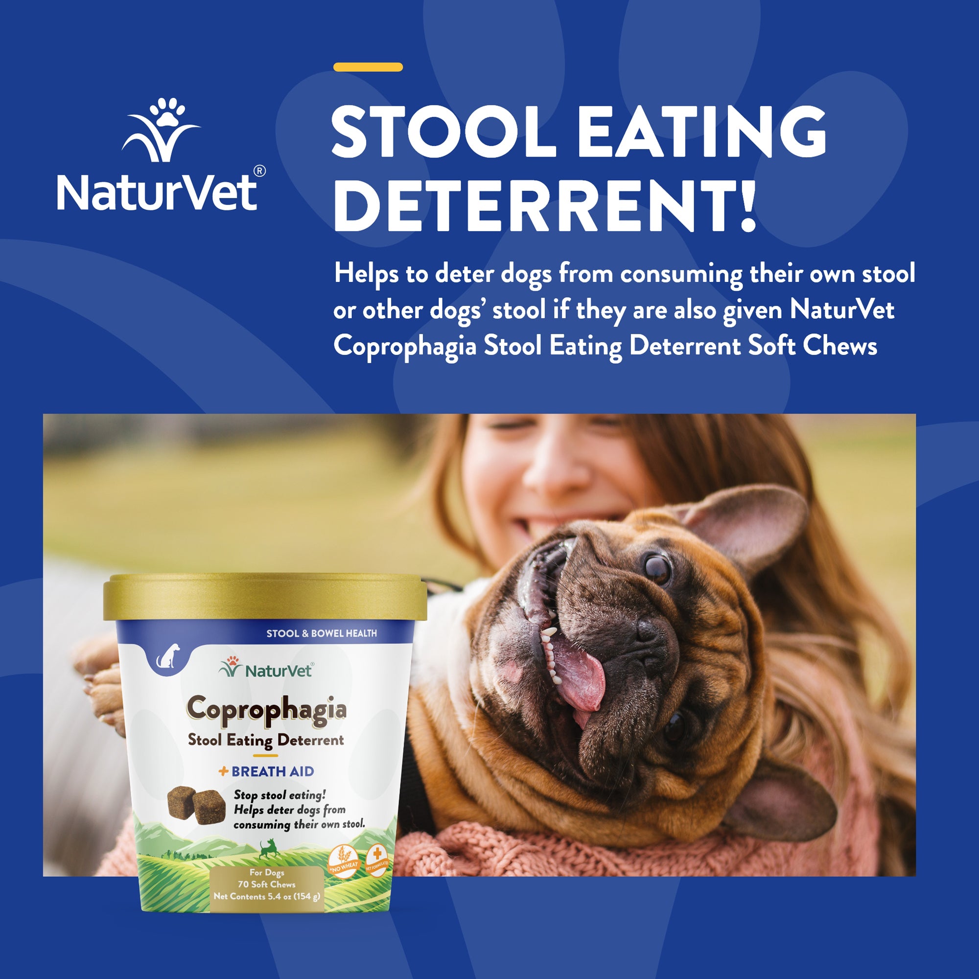 Best product to outlet stop dog eating poop