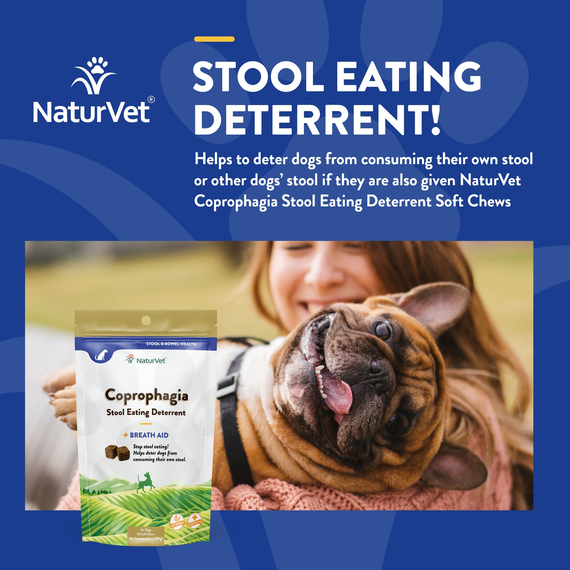 Coprophagia deterrent best sale for dogs