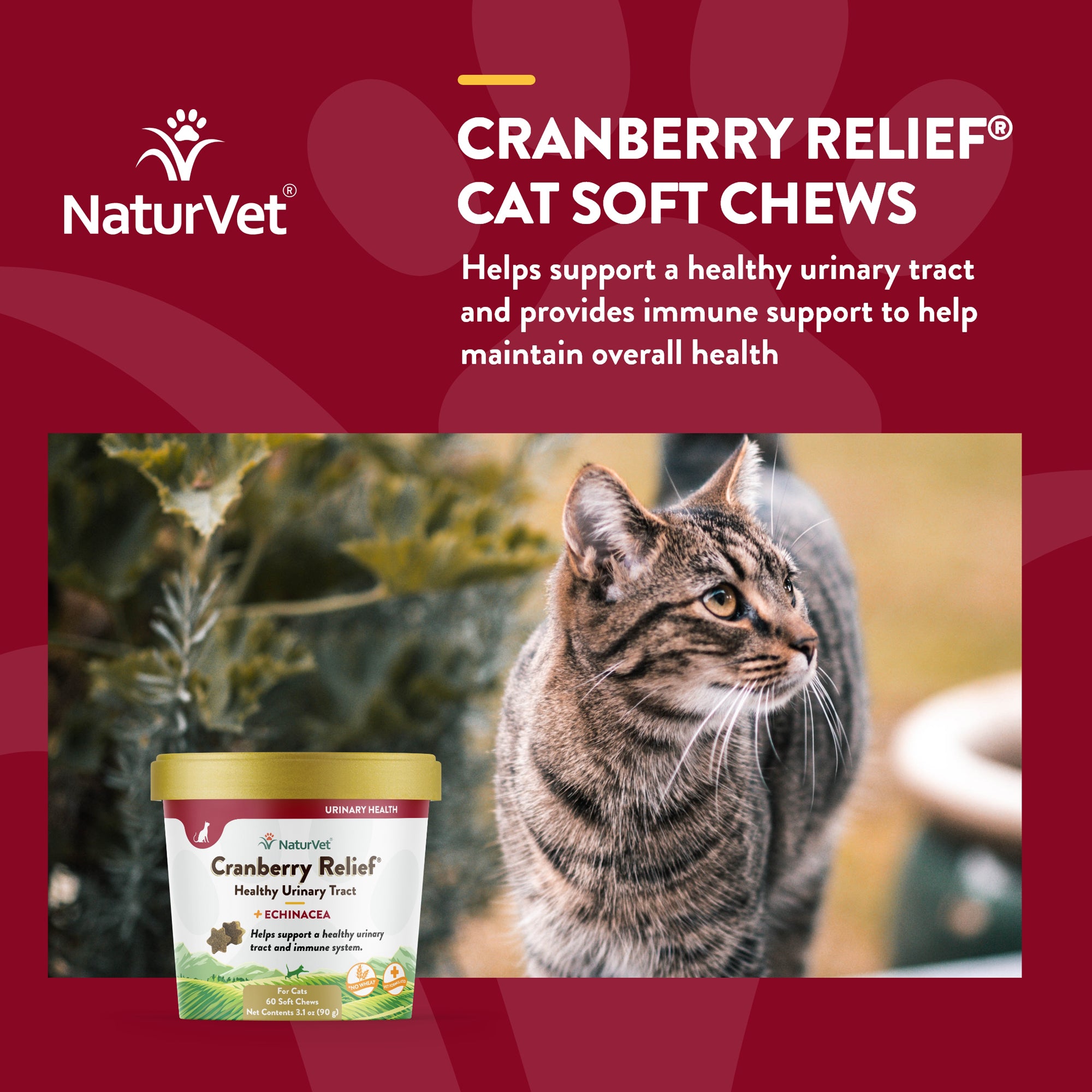 Cranberry Relief Cat Urinary Soft Chews NaturVet