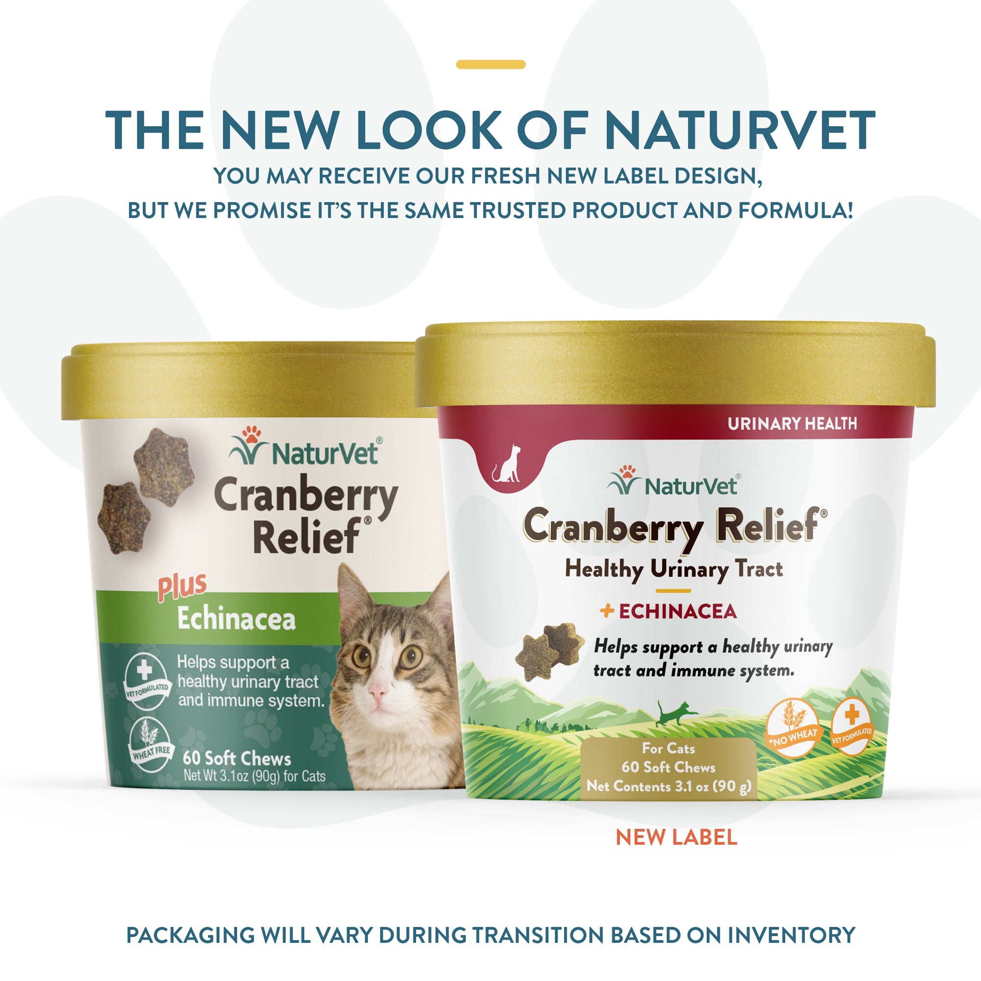 Cranberry Relief Cat Urinary Soft Chews NaturVet