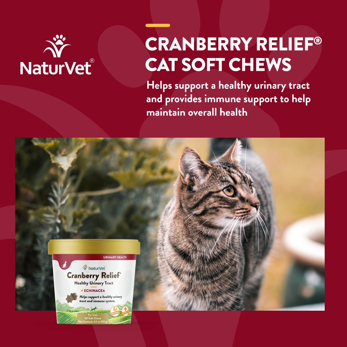 Cranberry Relief® Cat Soft Chews