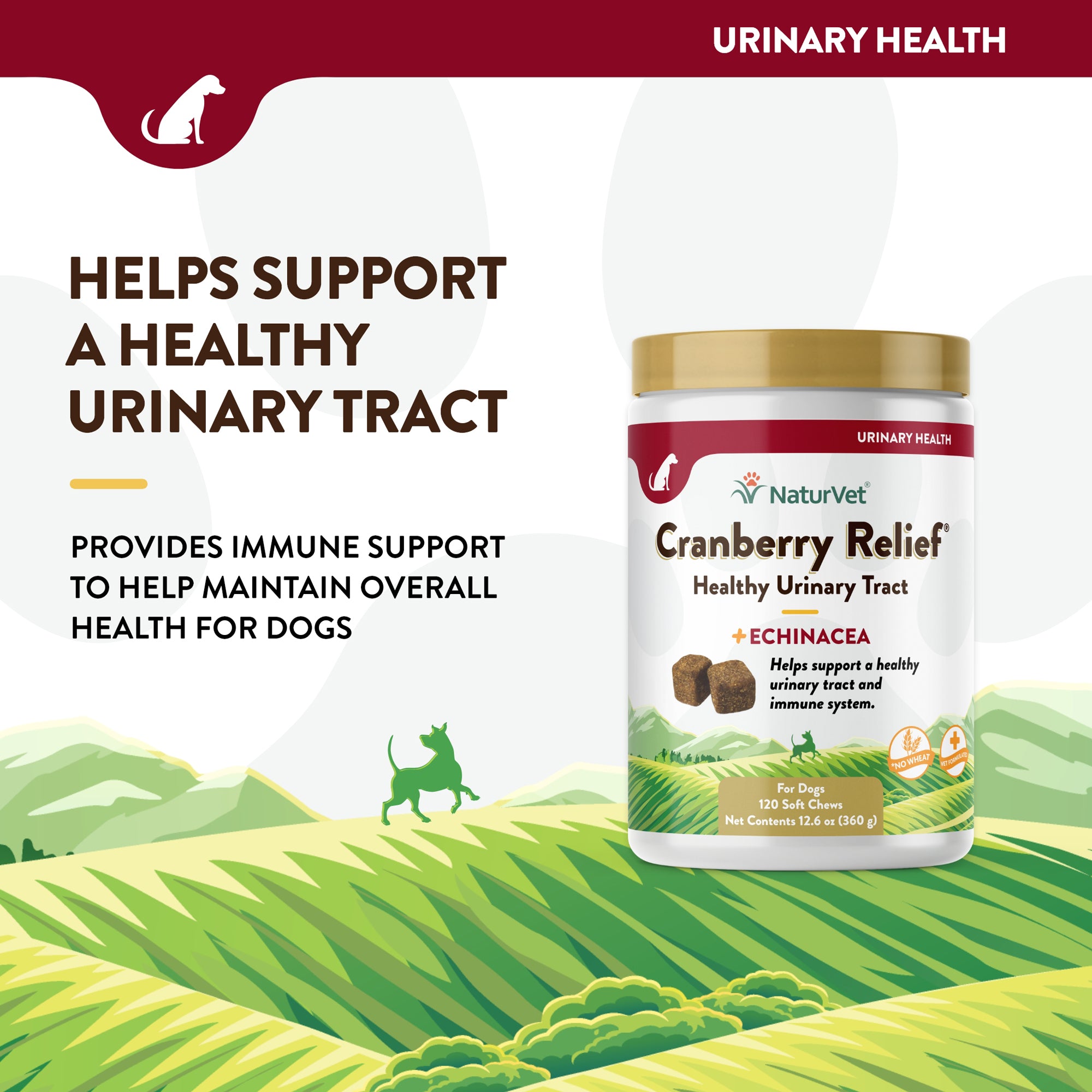 Cranberry supplement best sale for dogs