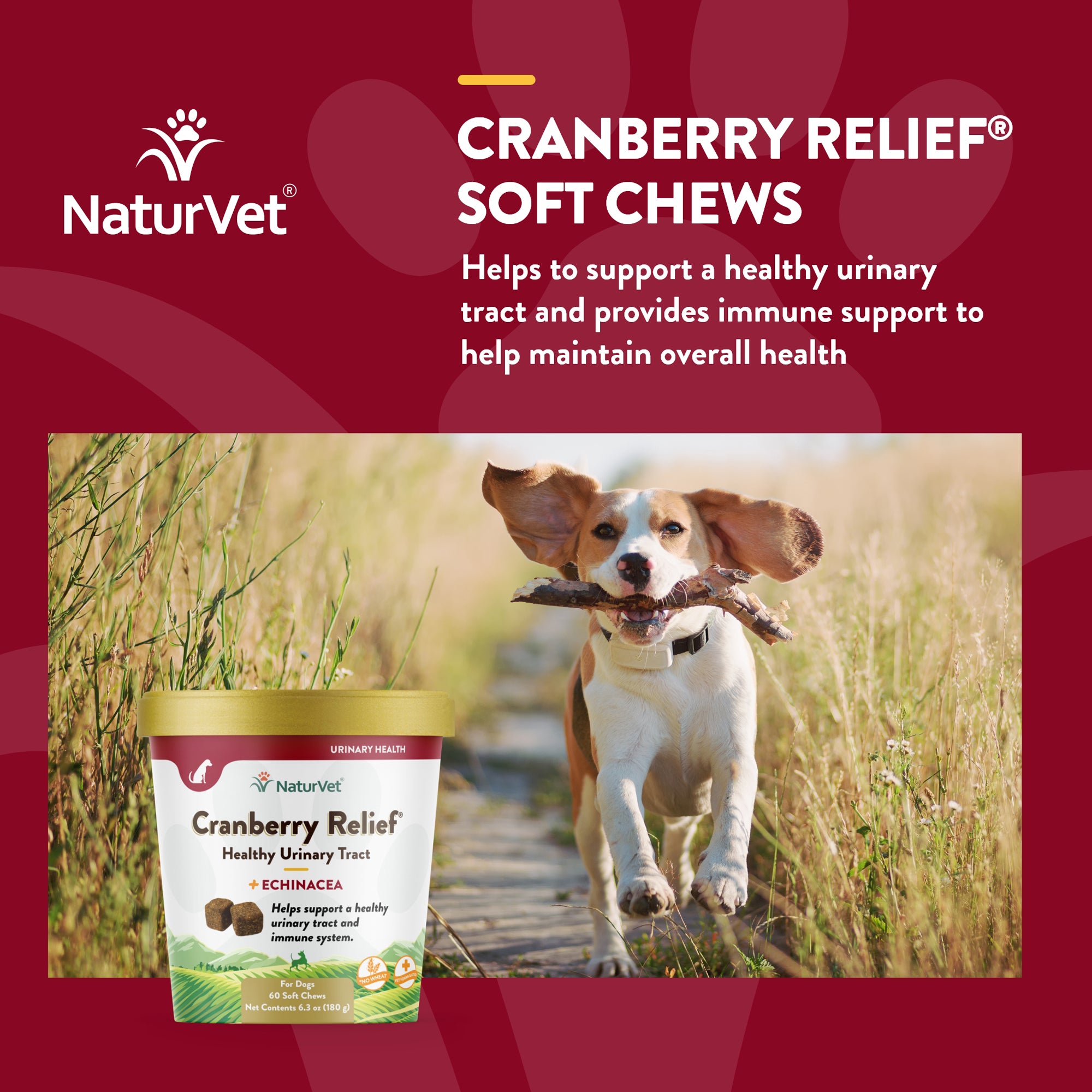 Cranberry Relief Dog Urinary Soft Chews NaturVet