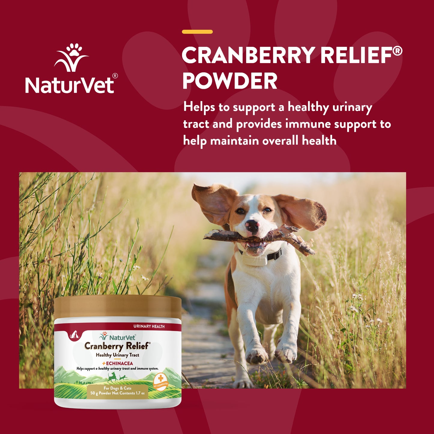 Cranberry Relief® Powder