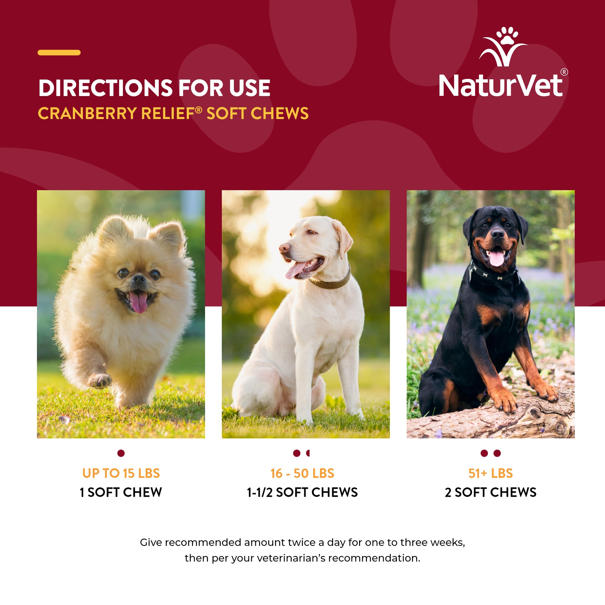 NaturVet Cranberry Relief Plus Echinacea 120 Soft Chews