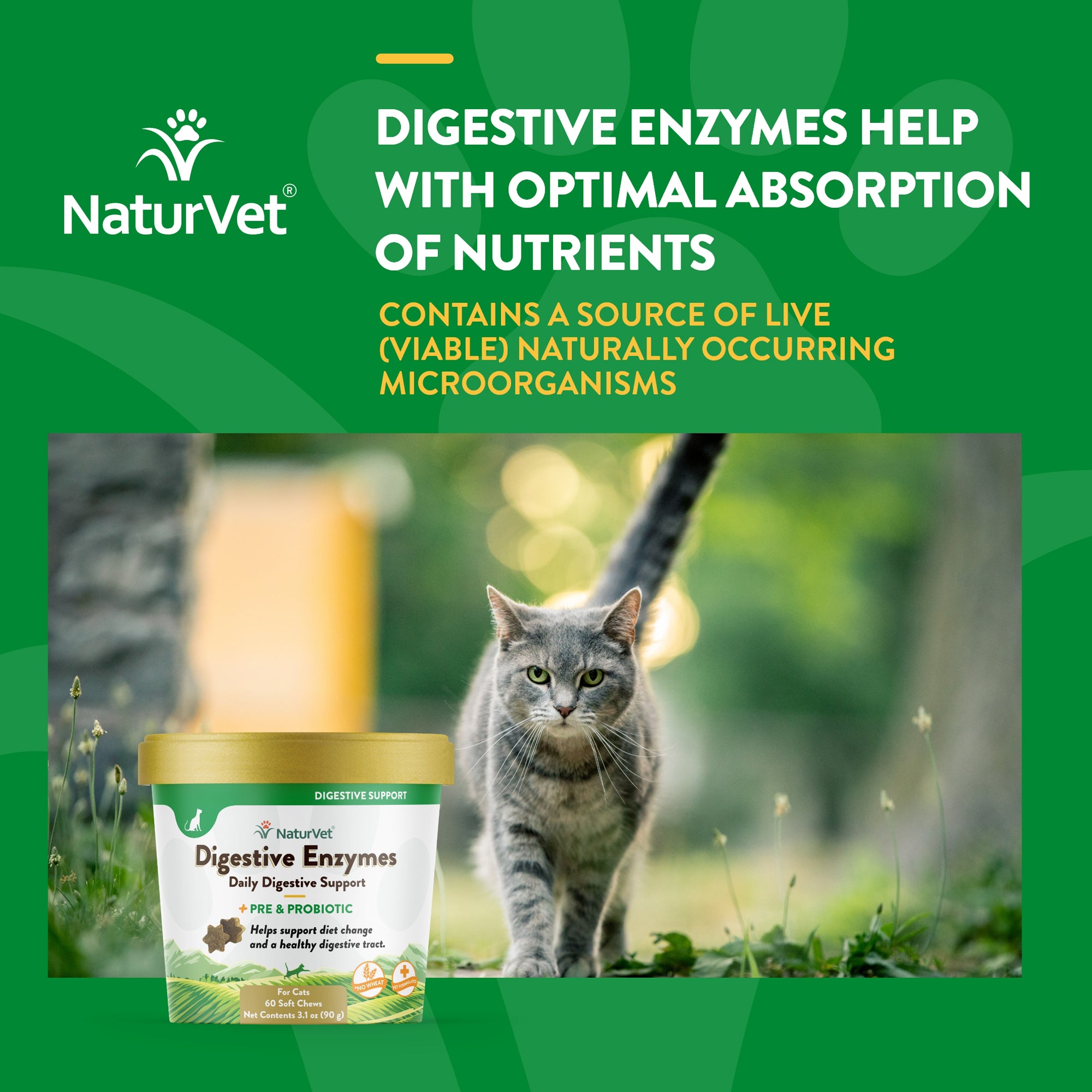 Cat shop digestive supplements