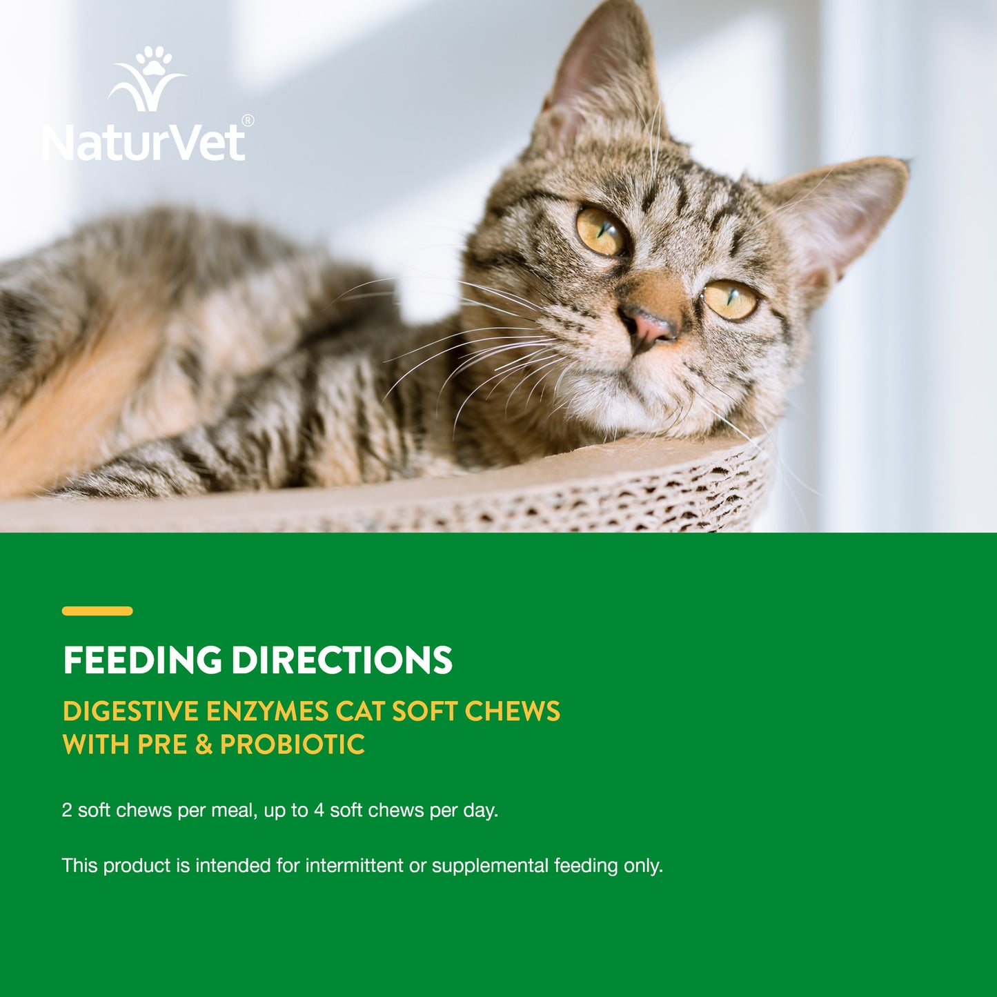 Digestive Enzymes Cat Soft Chews with Prebiotic & Probiotic