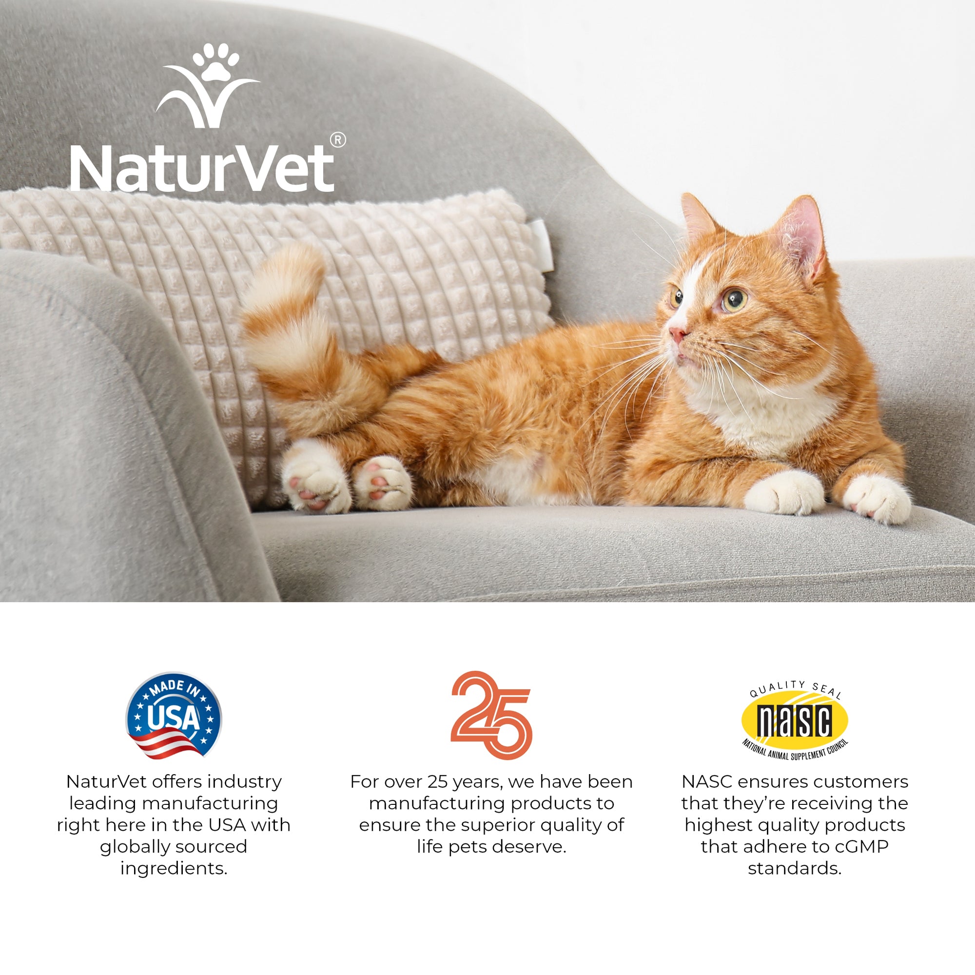 Cat digestive outlet supplements