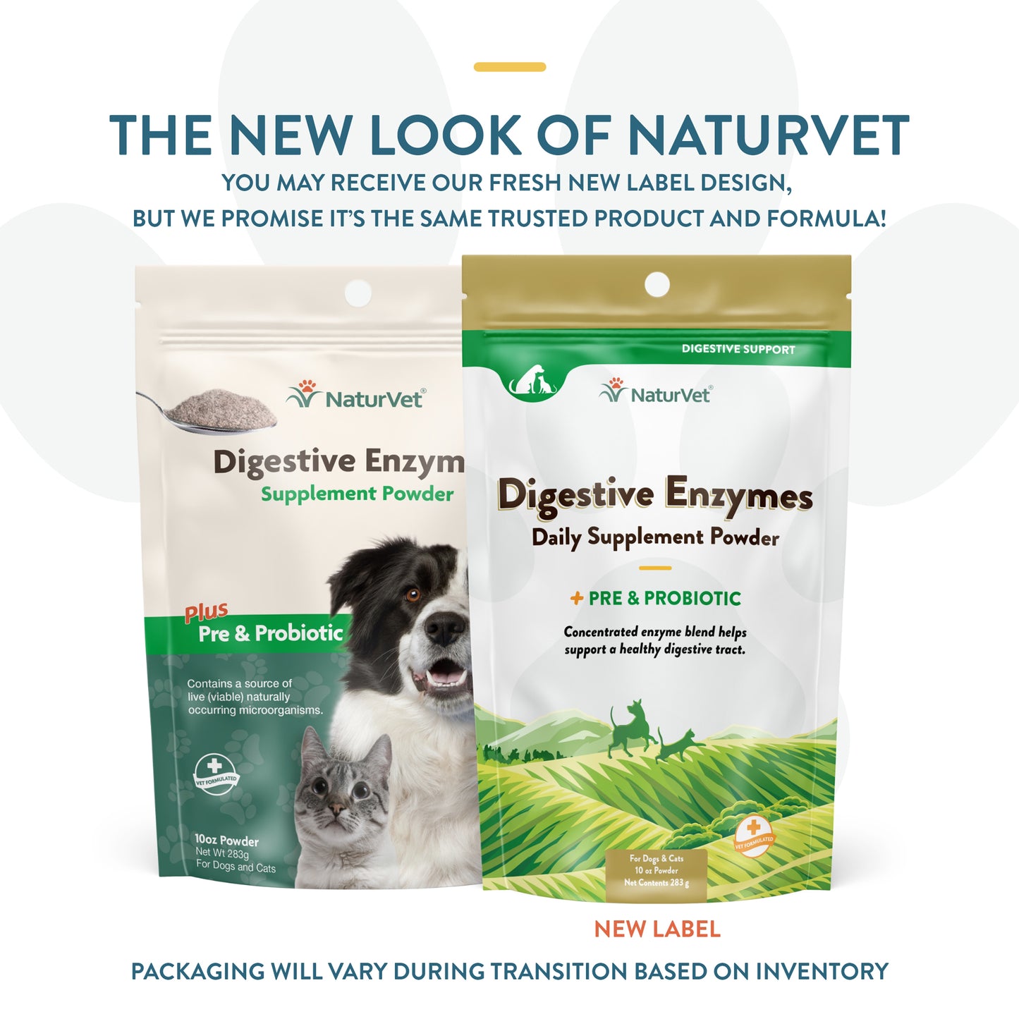 Digestive Enzymes Supplement Powder with Prebiotics & Probiotics