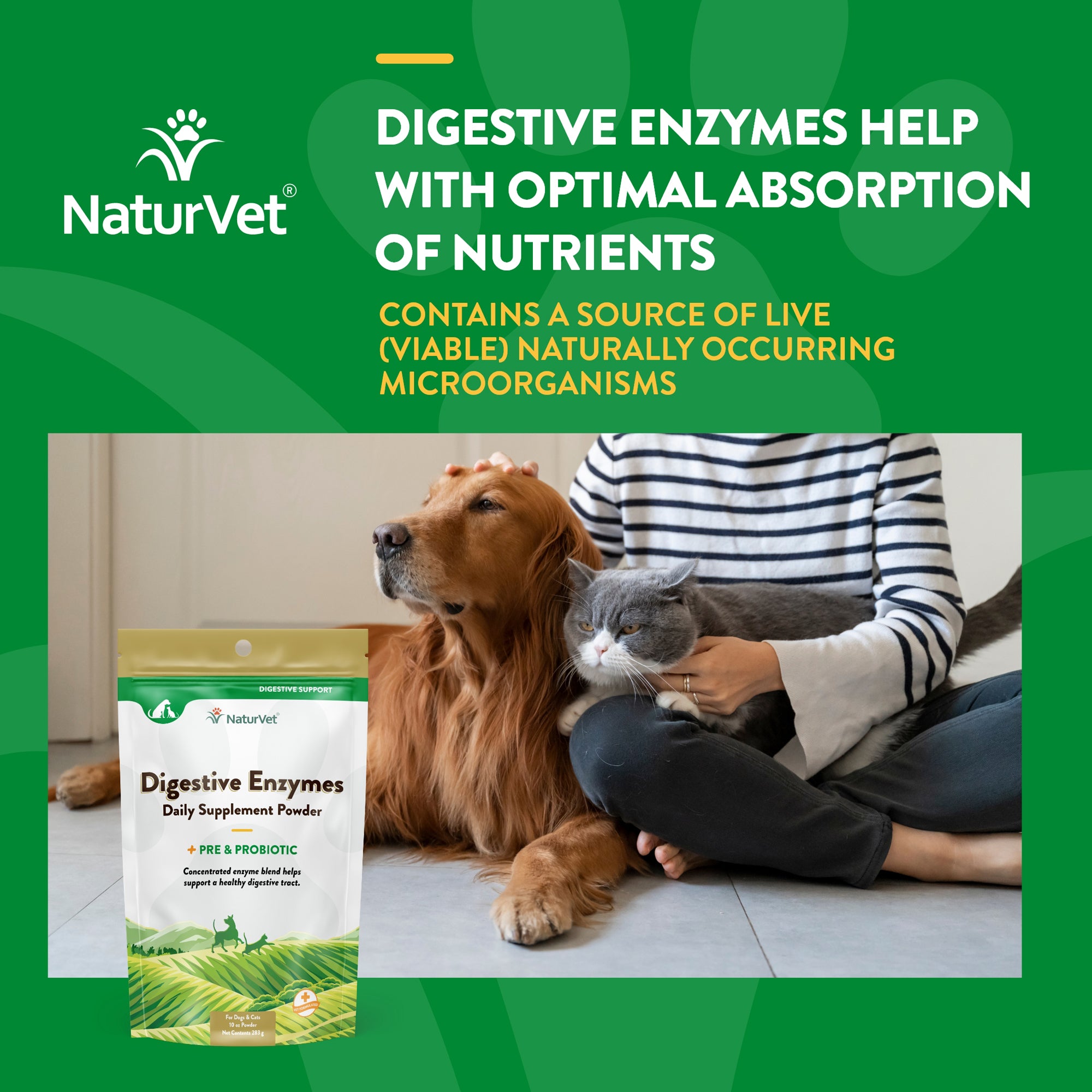 Digestive powder for dogs hotsell