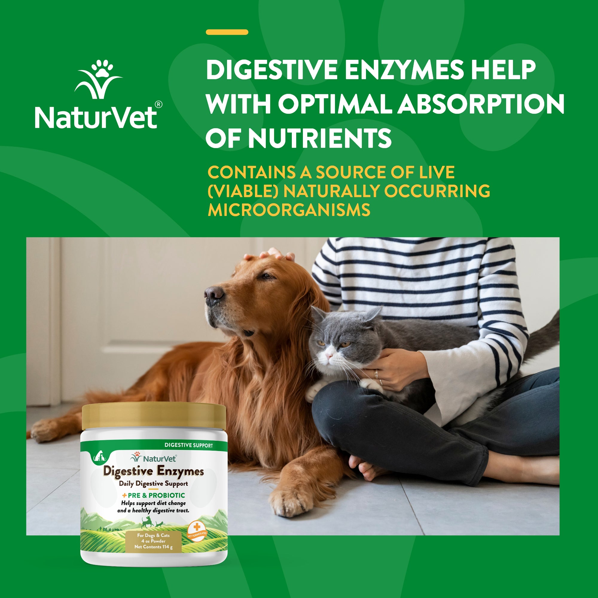 Digestive enzyme store powder for dogs