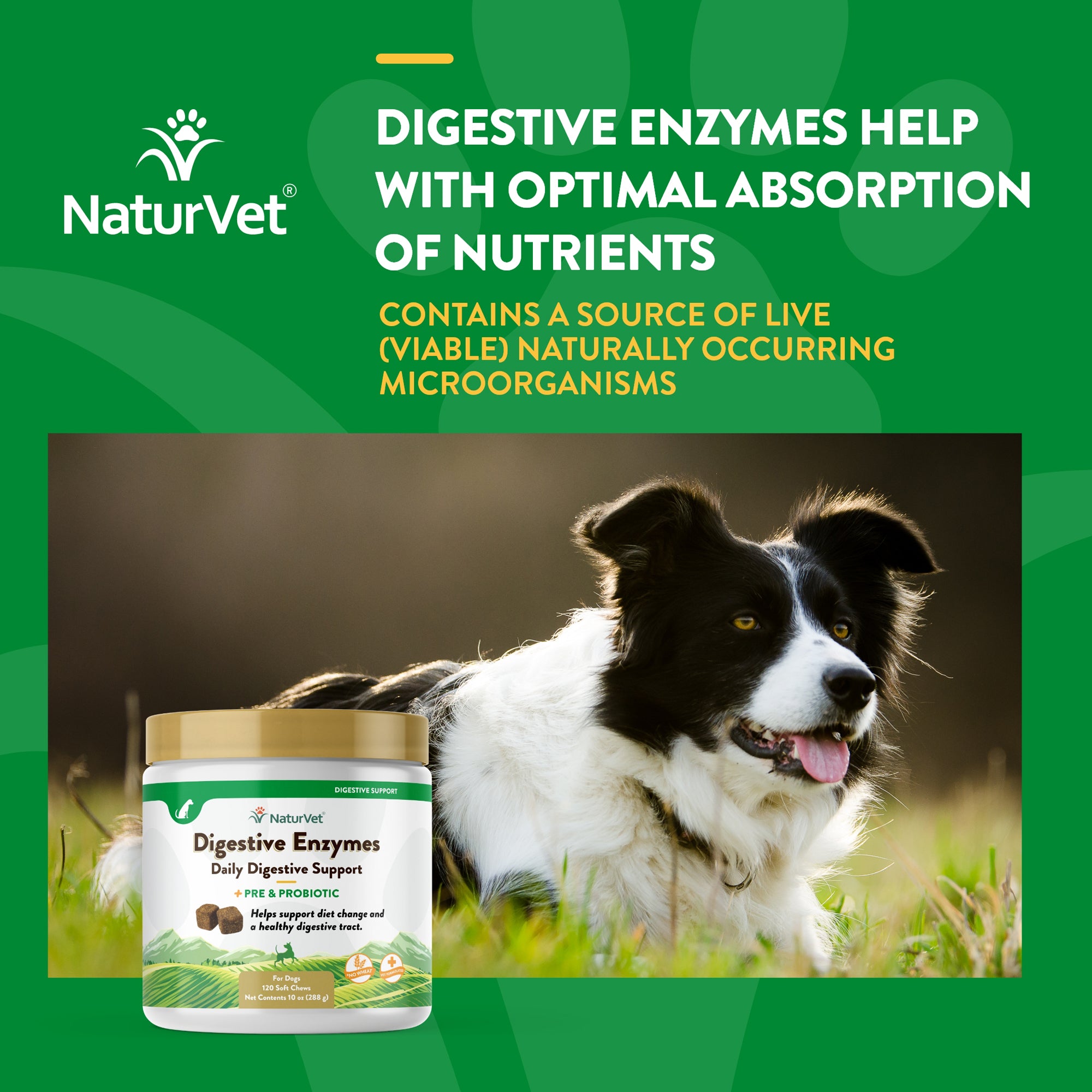 Naturvet probiotic hotsell