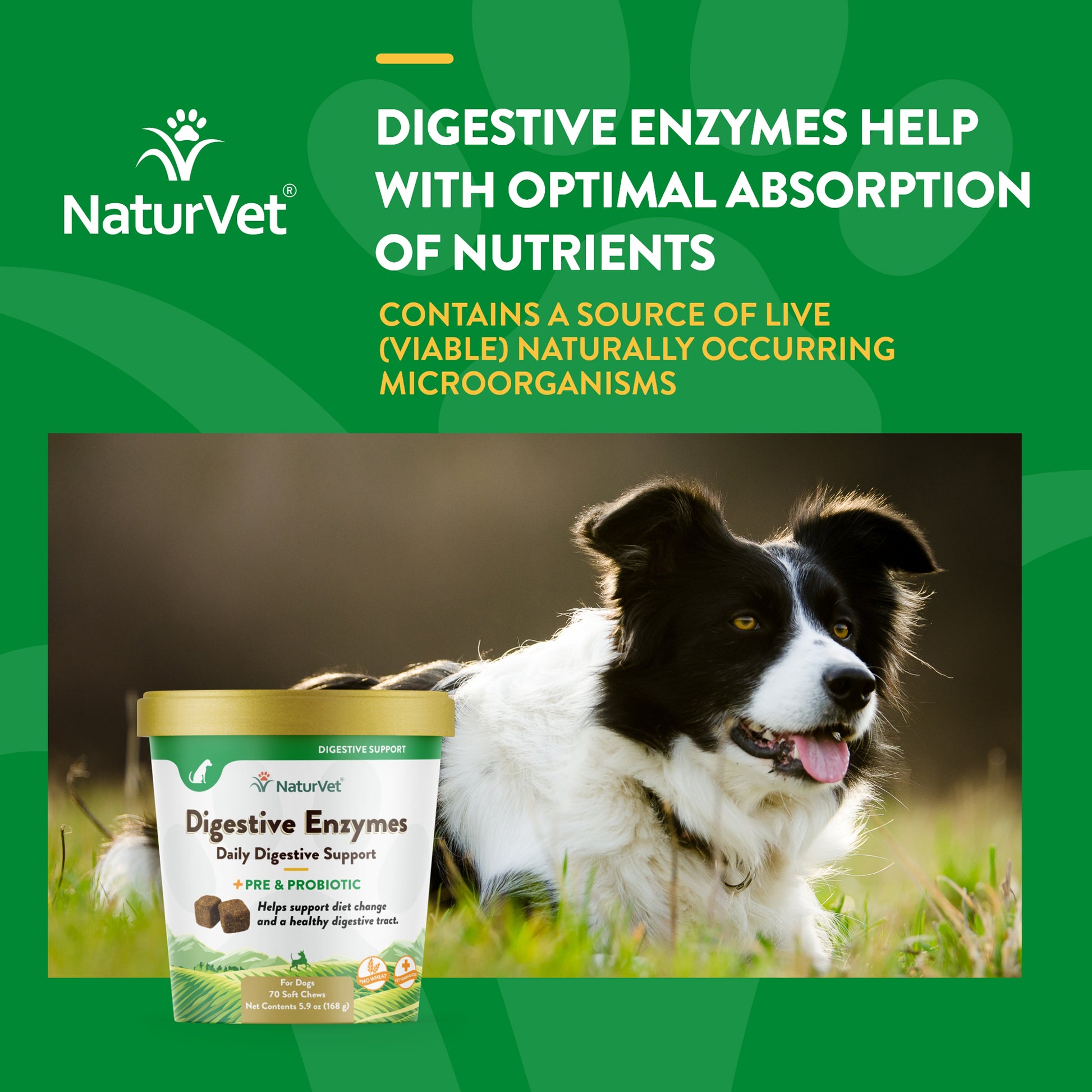 NaturVet Digestive Enzymes Plus Probiotiques Complément Alimentaire pour  Chiens à mâcher 90 pièces